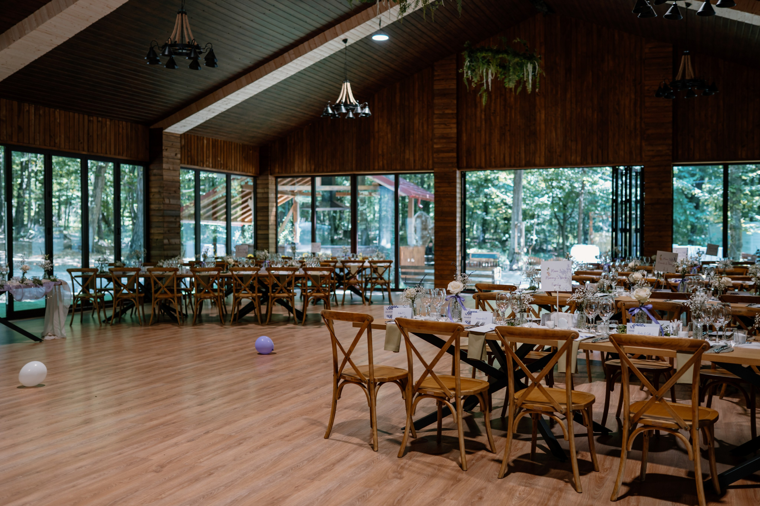 Baby Eva. Gabrielacojocariu.com