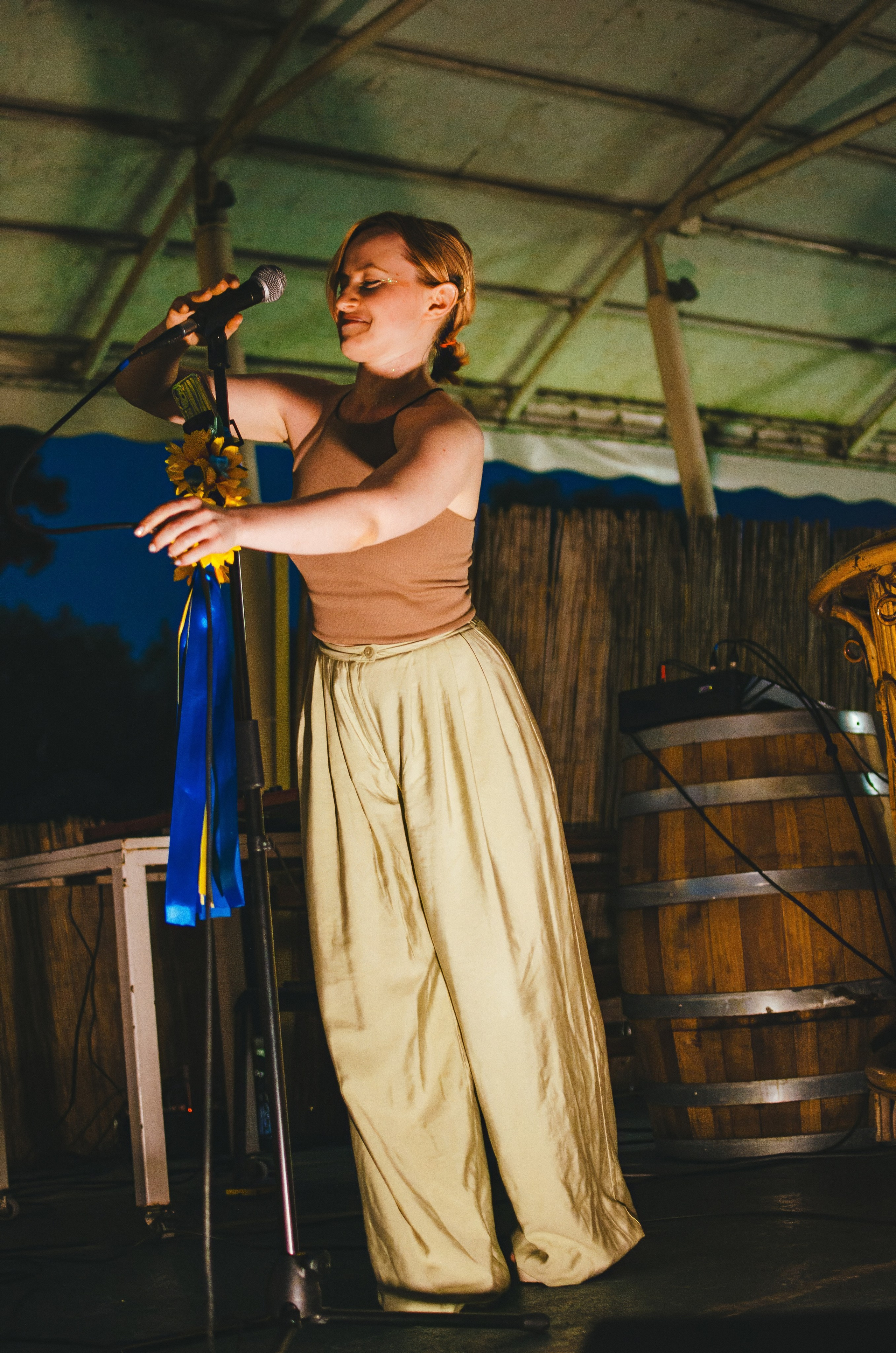 Musical house concerts. Event photographer Alena Iurchenko