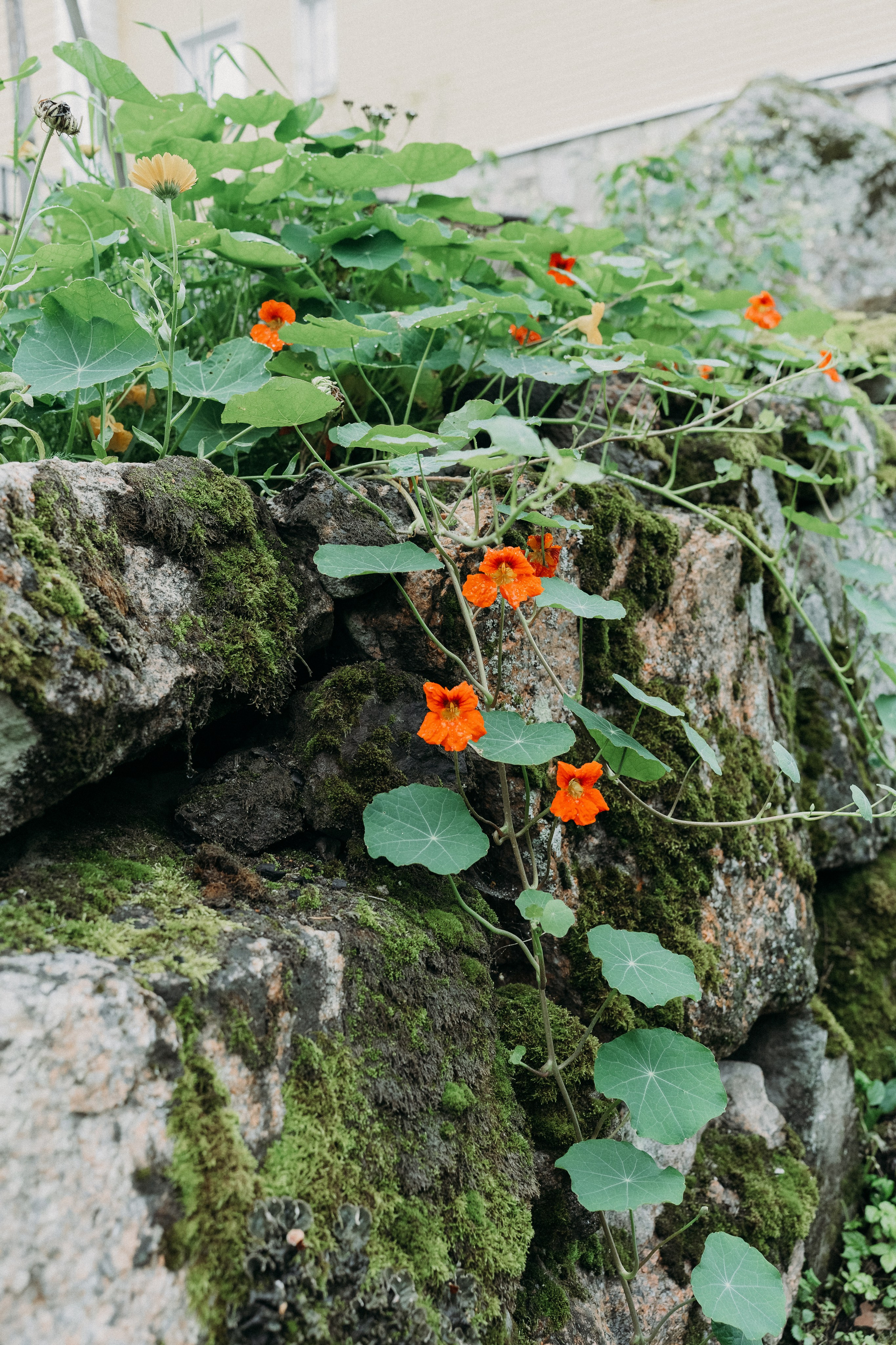 A&O. Wedding and potrait photographer in Helsinki Vickan O