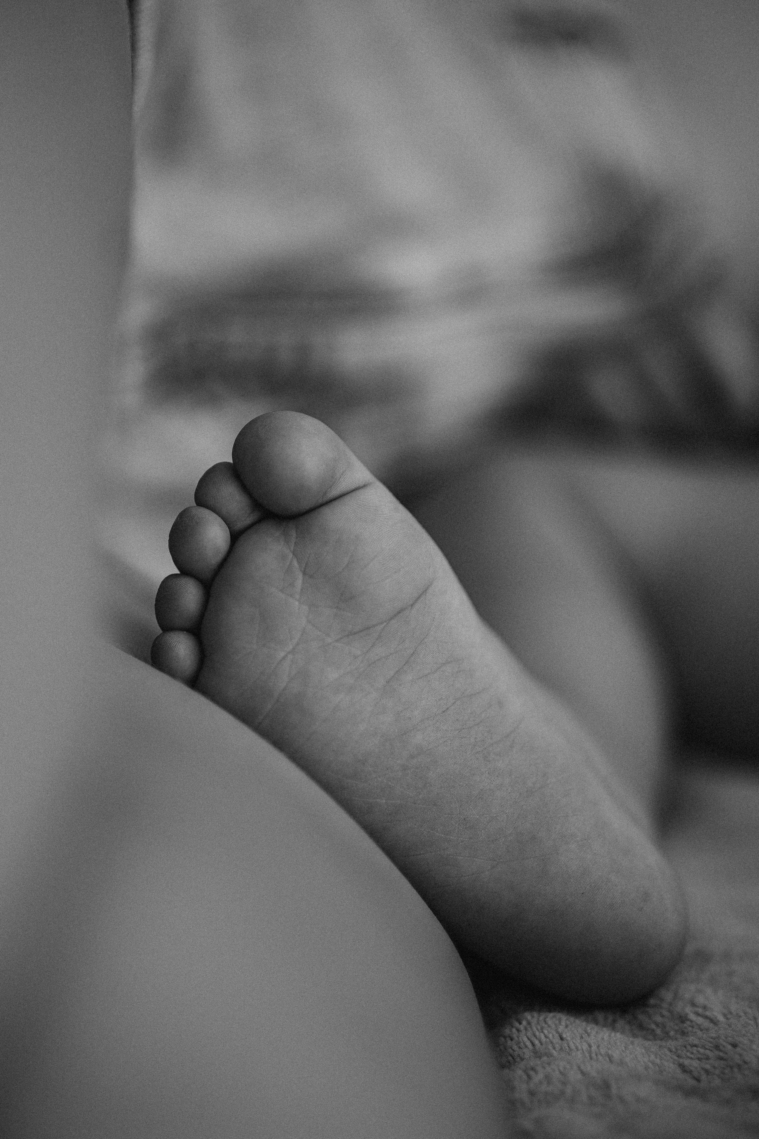 O cotidiano Russo no Solo Brasileiro. Fotografa de família e crianças em Florianópolis SC Daria Ermolaev