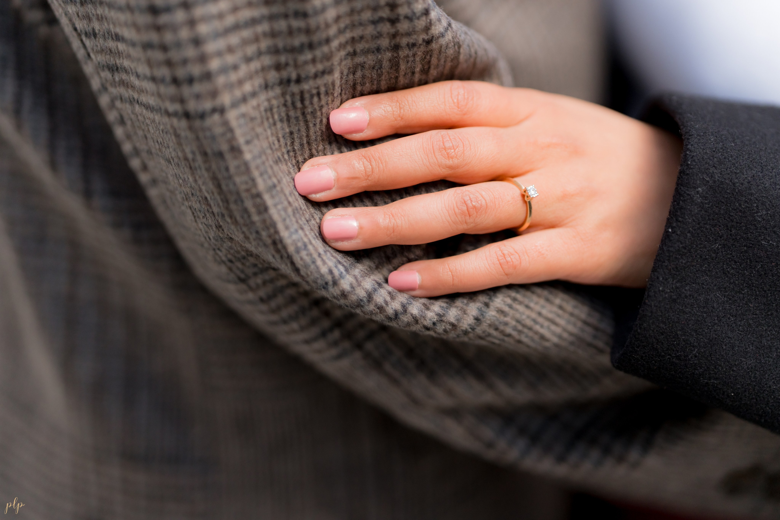 Harsh & Sneha. Wedding Photographers and Filmmakers