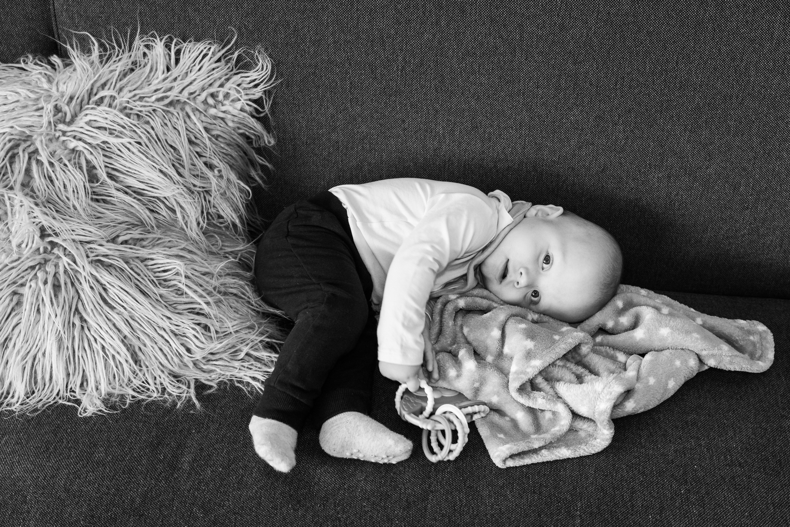 Kāzas Siltumnīcā. ROLFS VENDIŅŠ - KĀZU FOTOGRĀFS | Rīgā un visā Latvijā