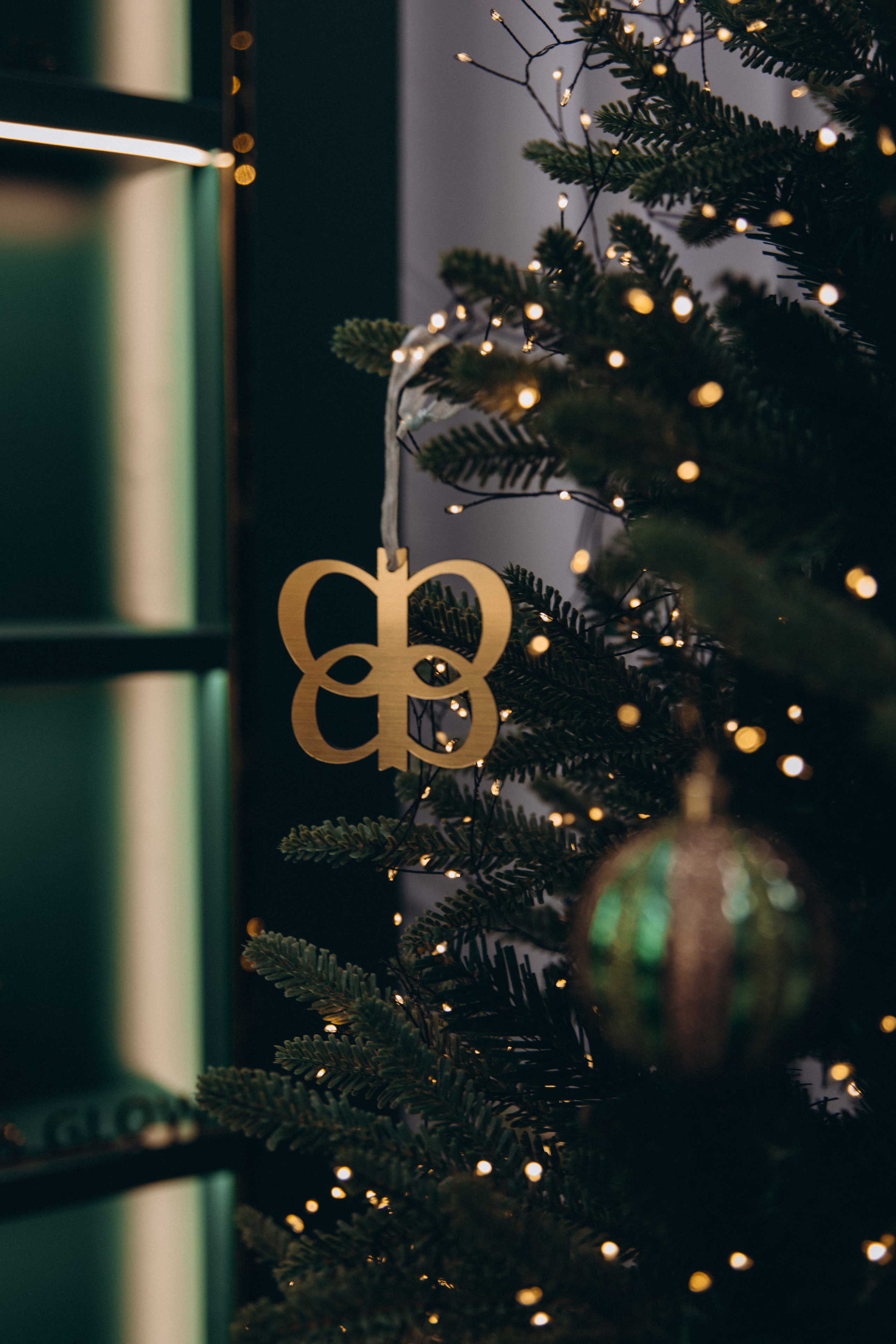 Bohicare. Portrait photographer in South Korea Olga Lian