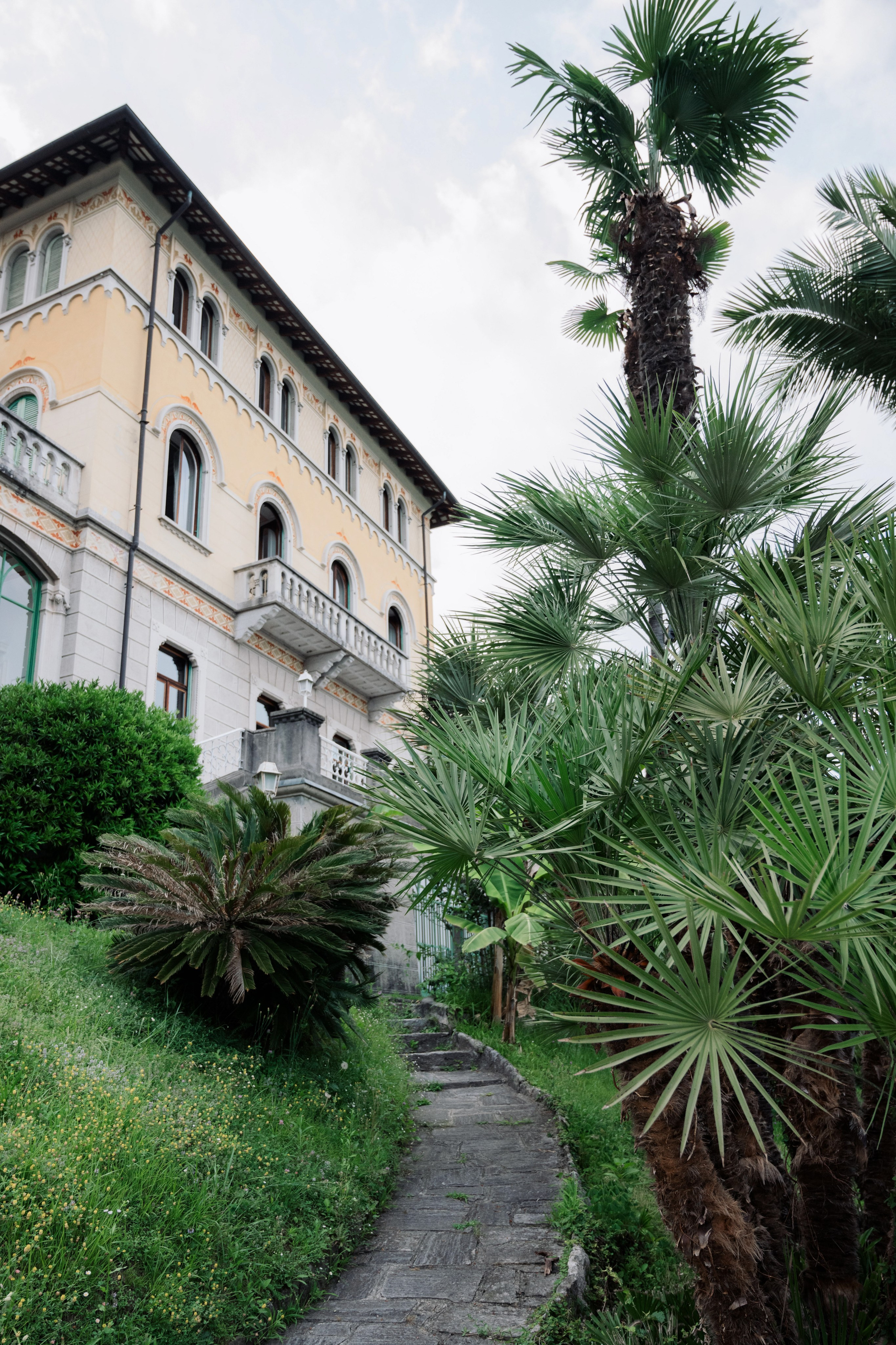 a palm tree in front of a house