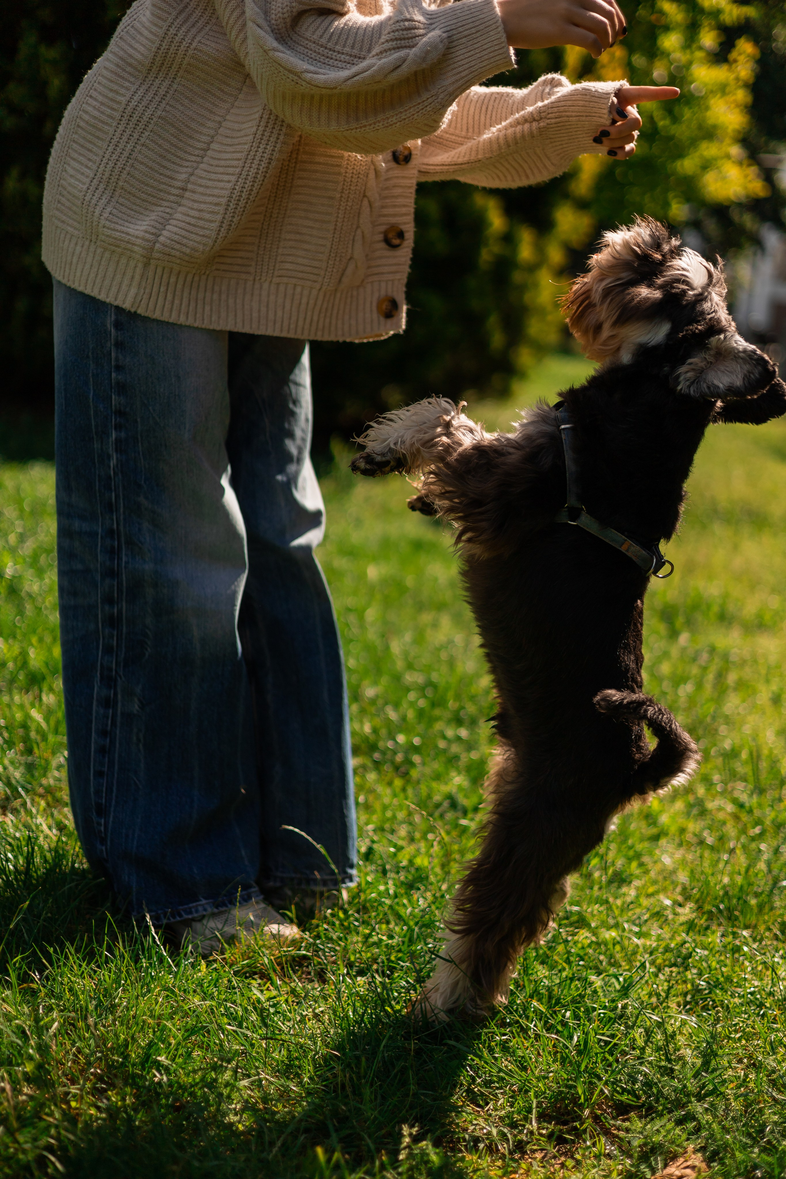 Алёна и Джерри. Фотограф-анималист | Белград