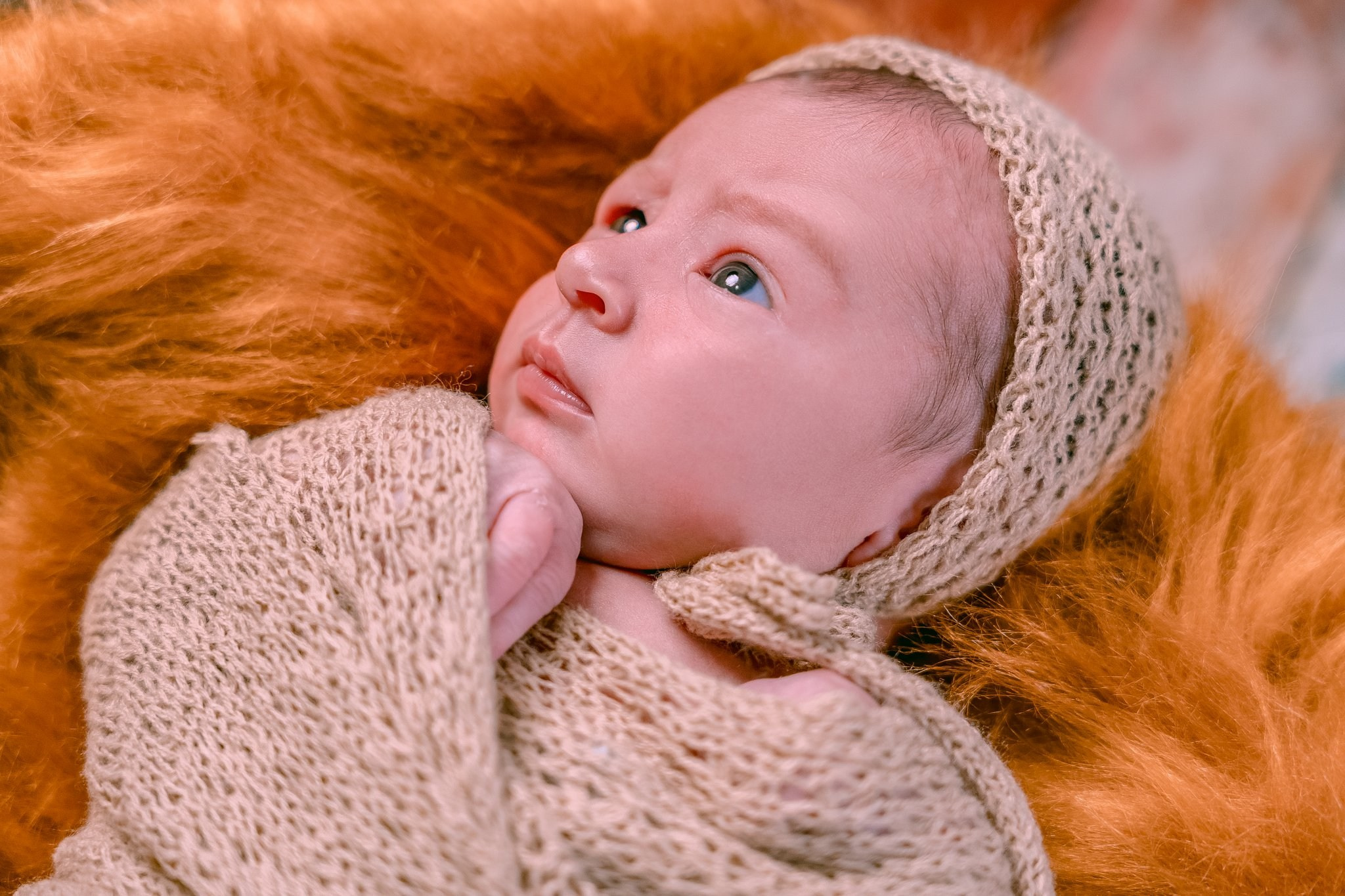 Vicente — 09/04/2024. Luiz Medeiros Produções