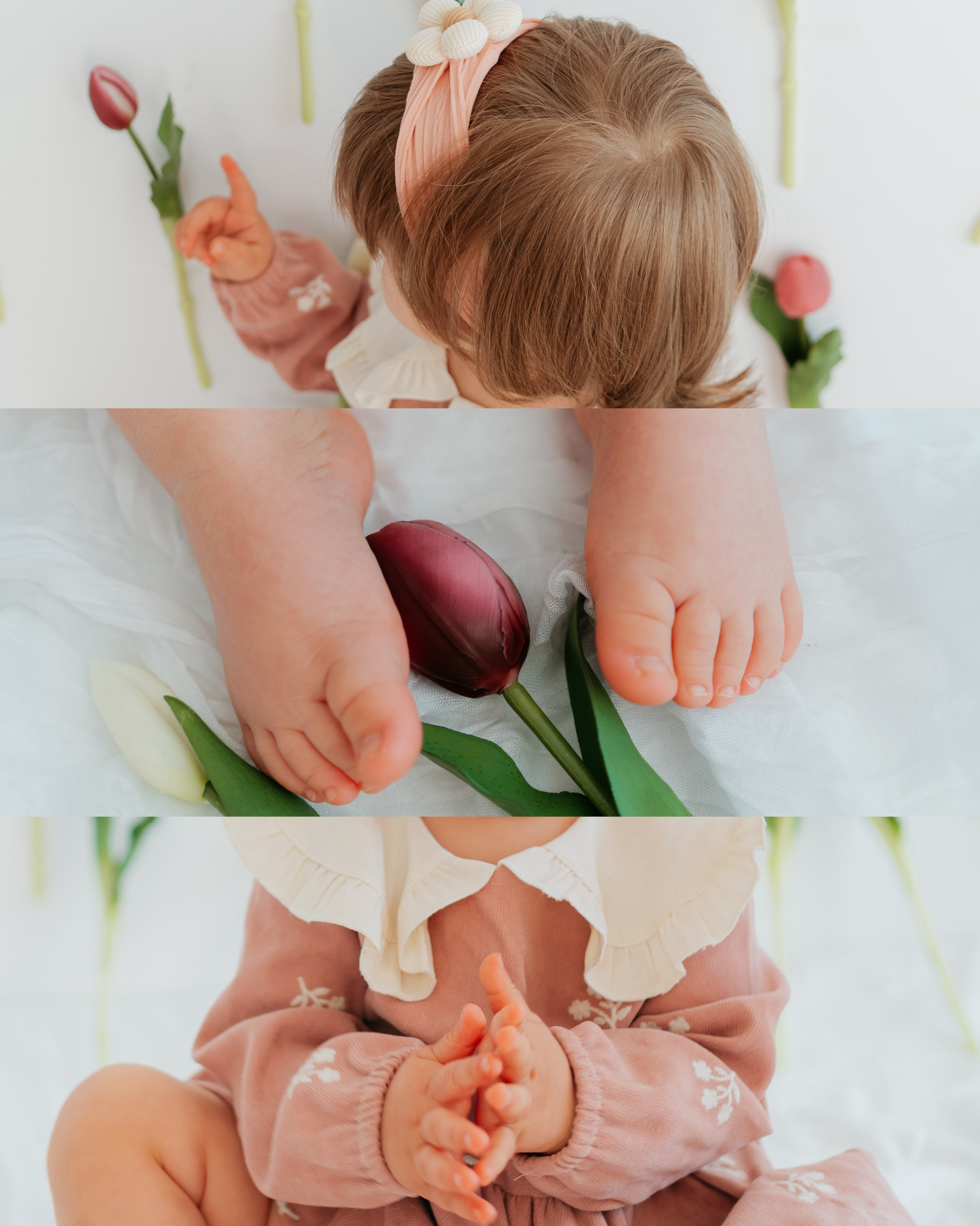 SPRING SESSION. Ars Vidi | Digital Solutions