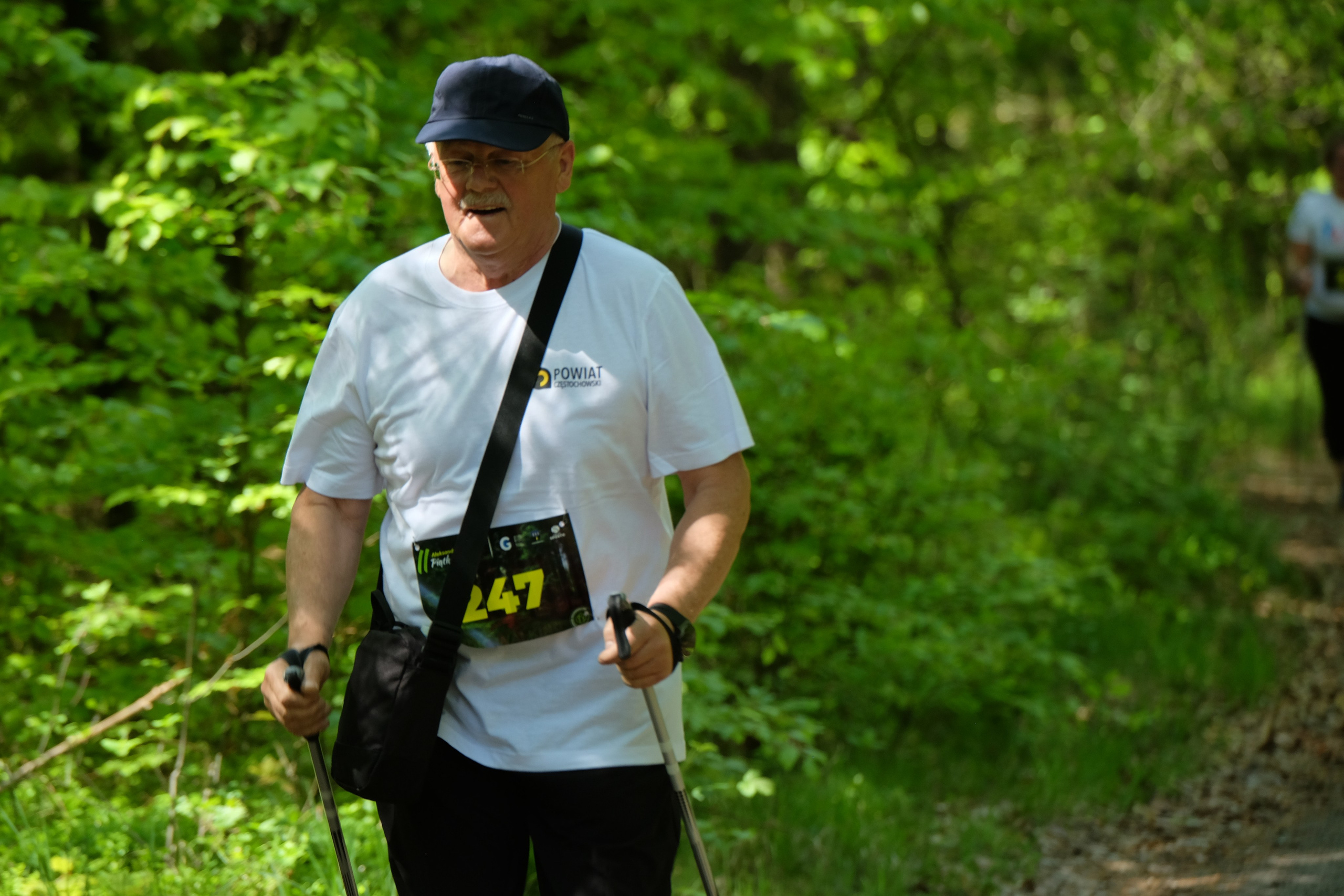 Aleksandryjska Piątka po lesie. Main