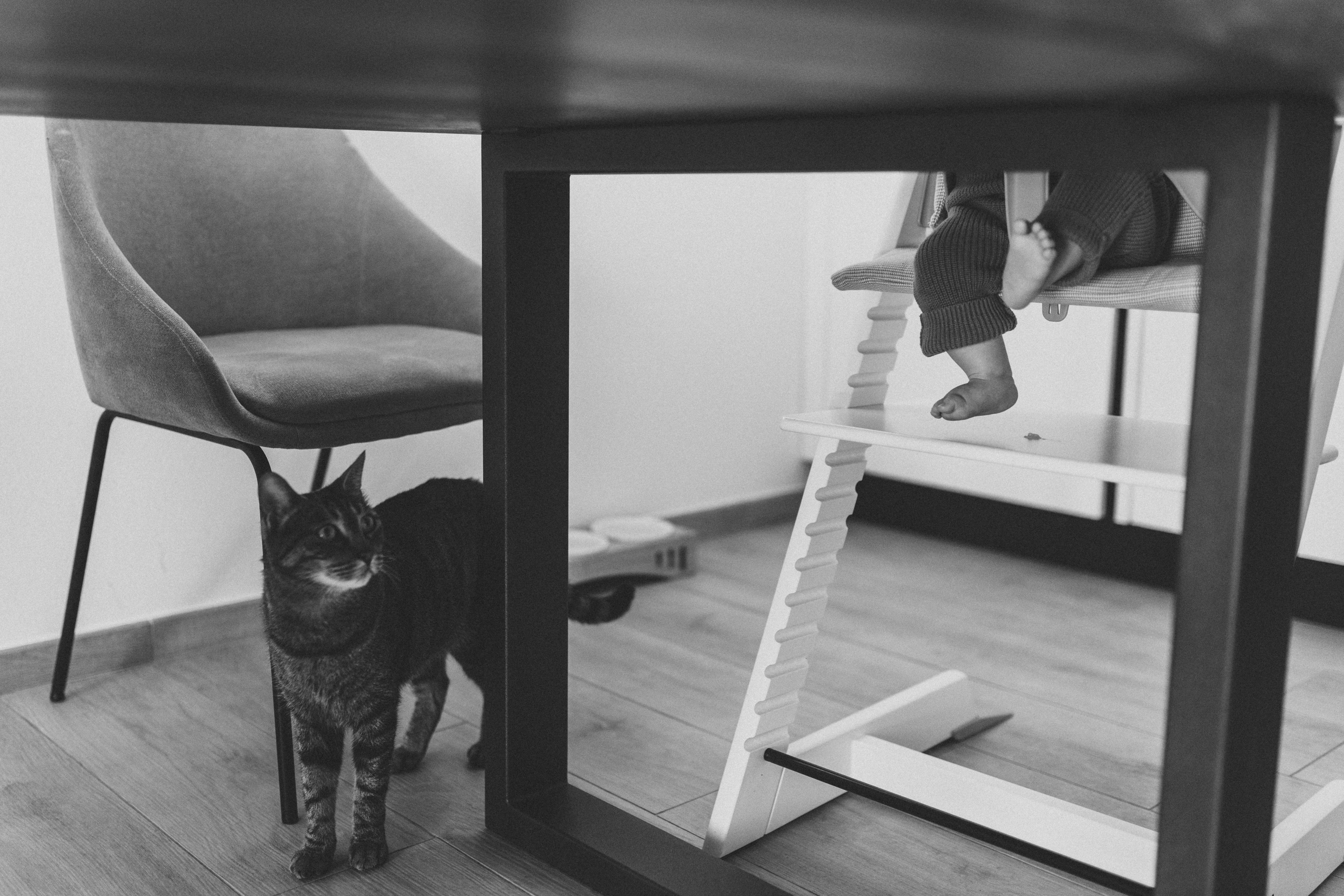 Vanessa, Andrea e Virginia. Fotografo a Ravenna Nataliya Samsonova