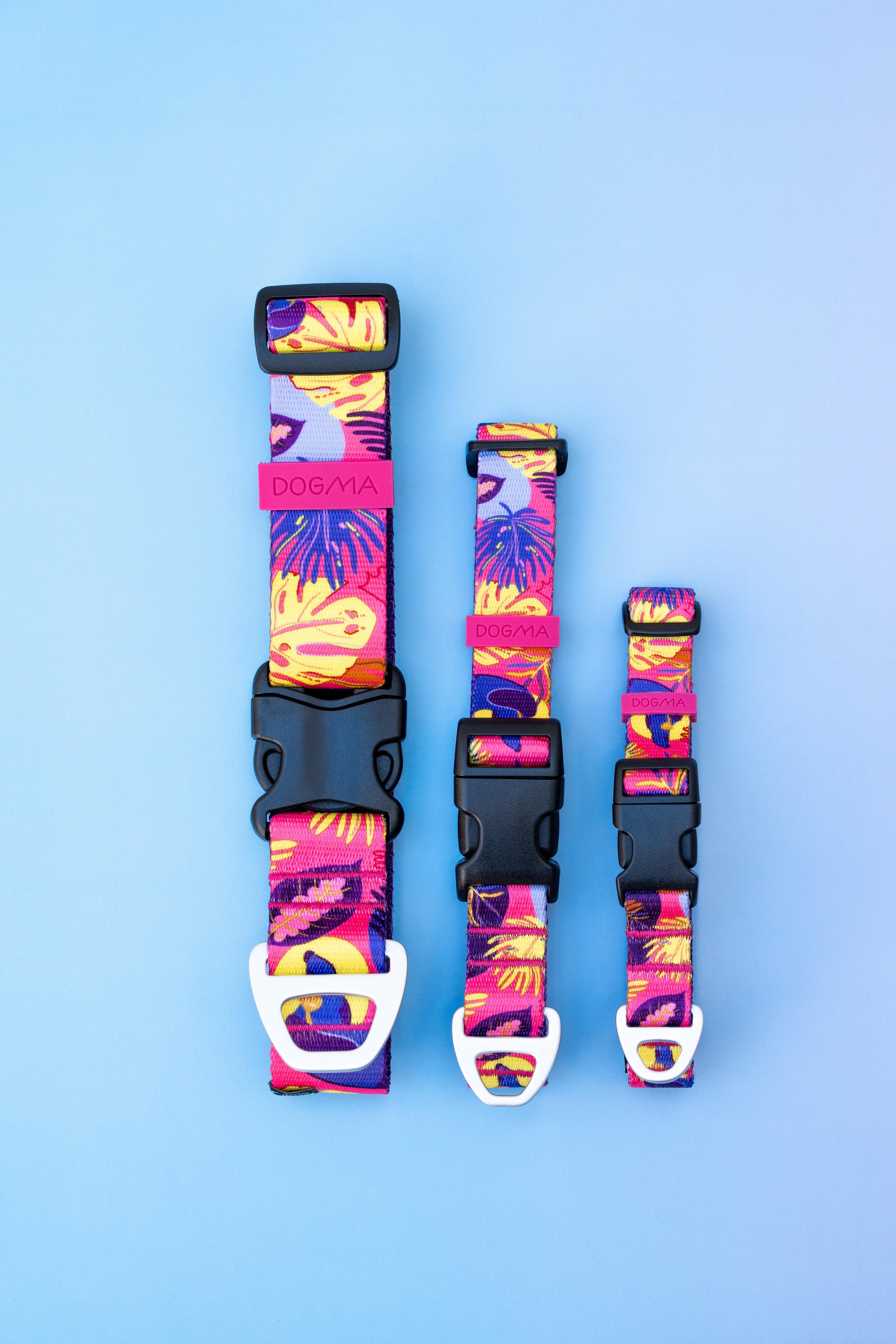 Dogma. Maria Sher. Fotógrafa profissional do Porto, Portugal