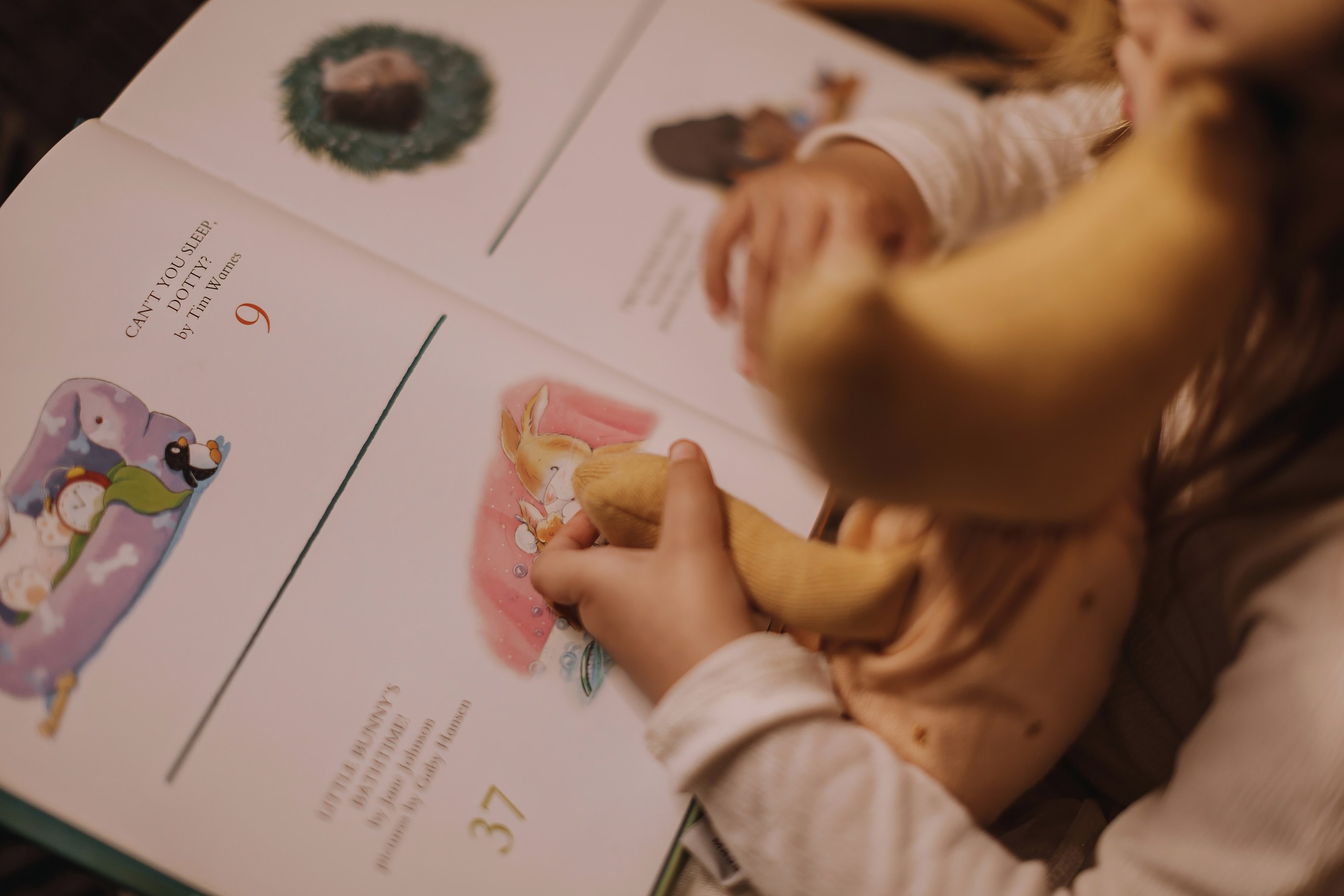 25.11.2023 Christmas Photoshoot. Wedding family event photographer in Chicago Nick Yushevich