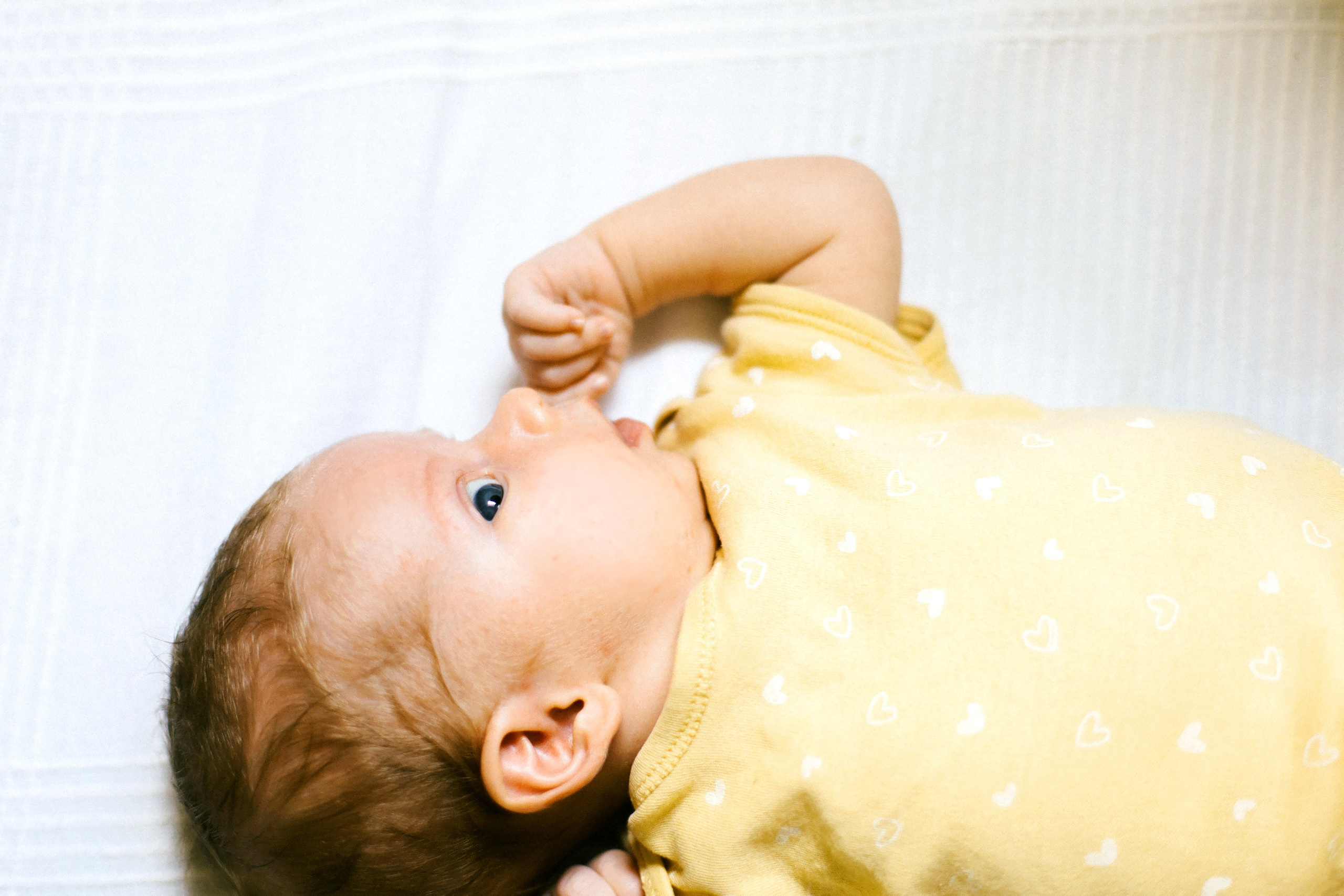 Ella 2 month. Family photographer in Israel