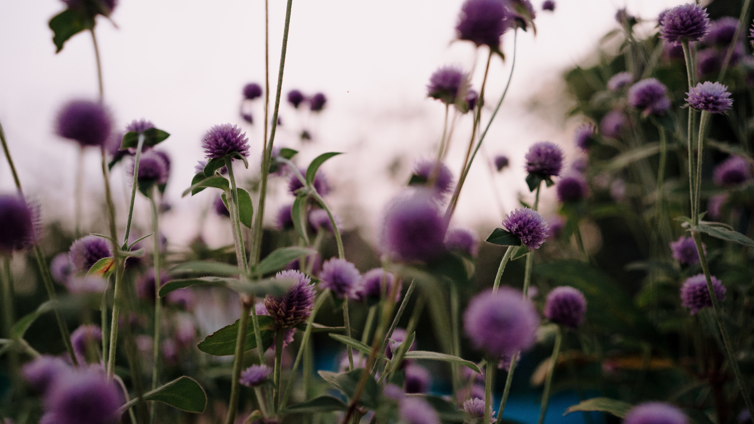 Sahithya & Kavin. Agam Vizha