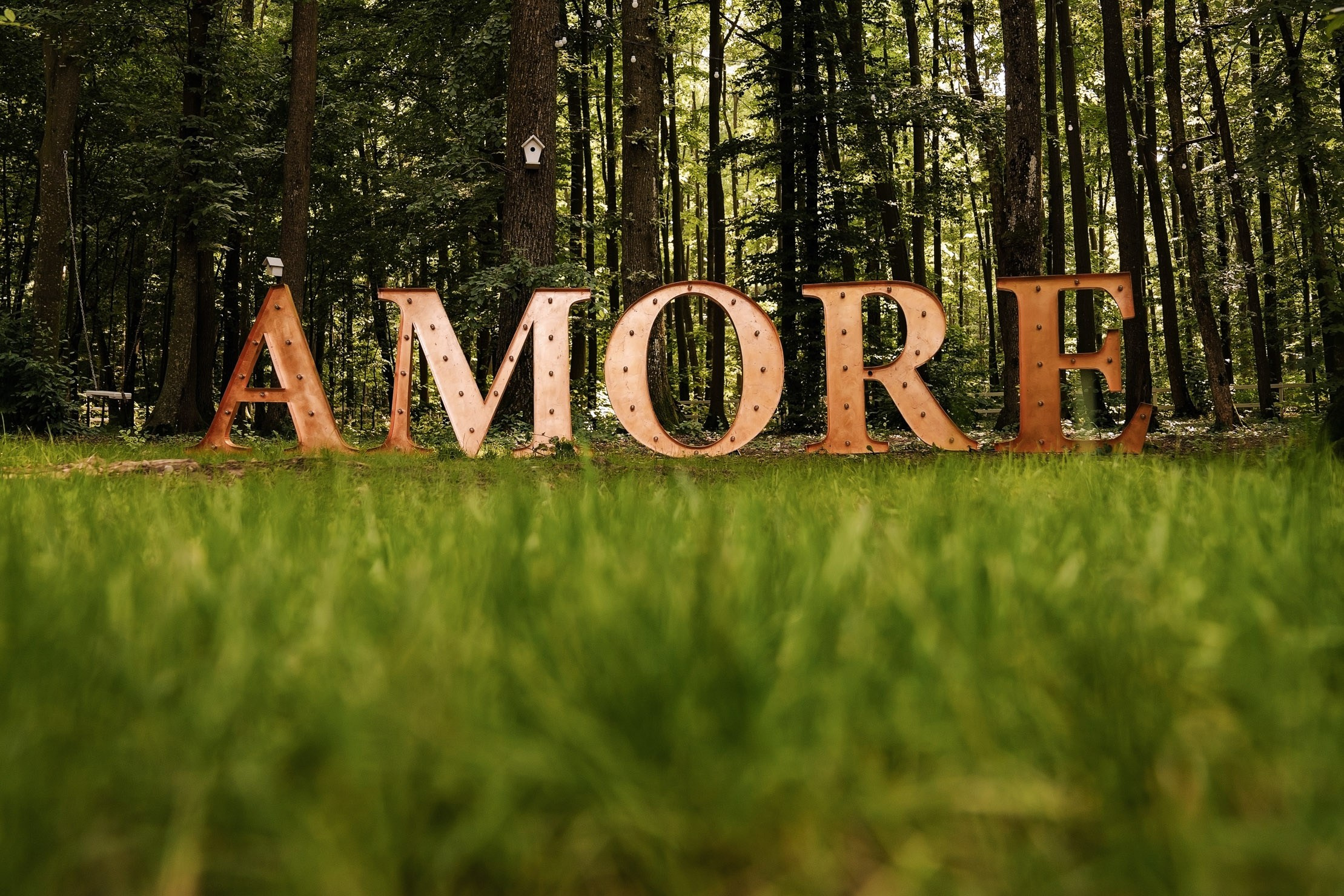 Flavia & Cosmin (partea a II-a). Fotograf evenimente. Fotograf nunta. Fotograf Botez. Mihaela Savu