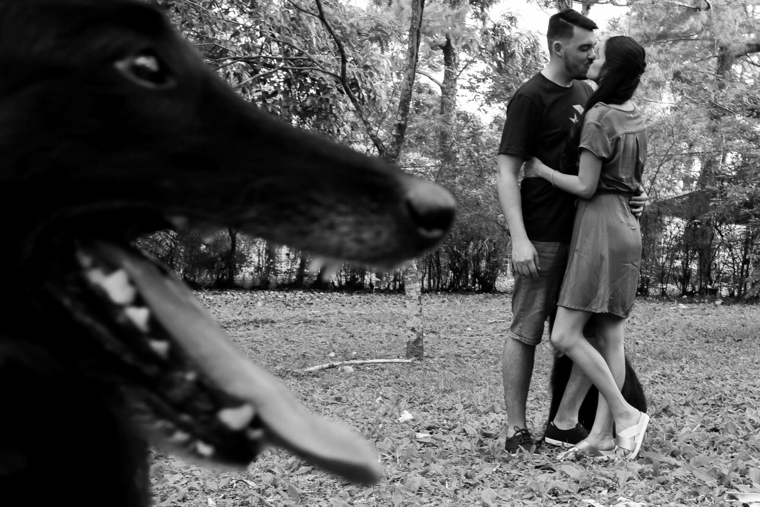 Maru & Dario. Fotografo de casamiento en misiones y fotógrafo de familia  Posadas