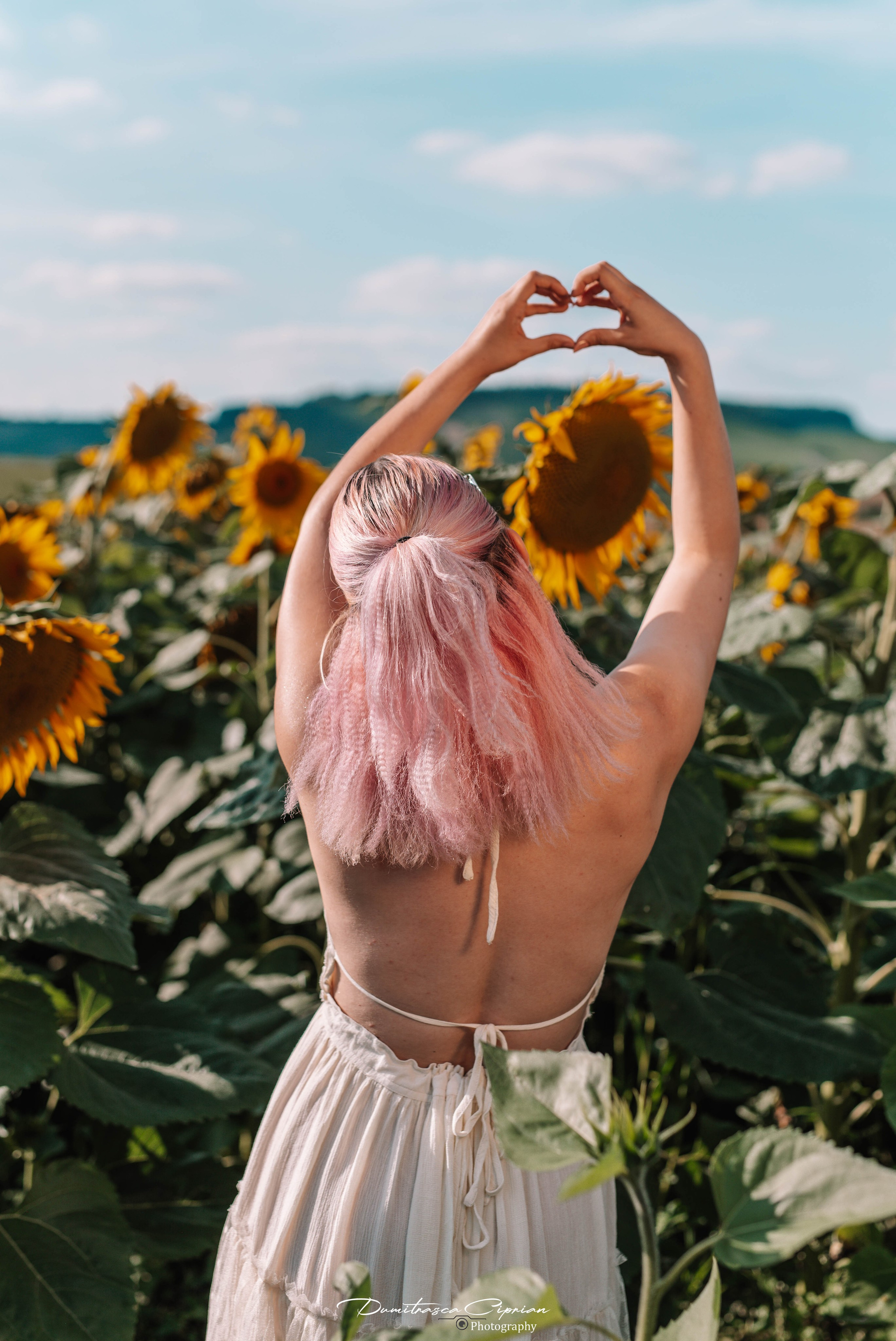 Two souls in love among sunflowers. Dumitrasca Ciprian Photography