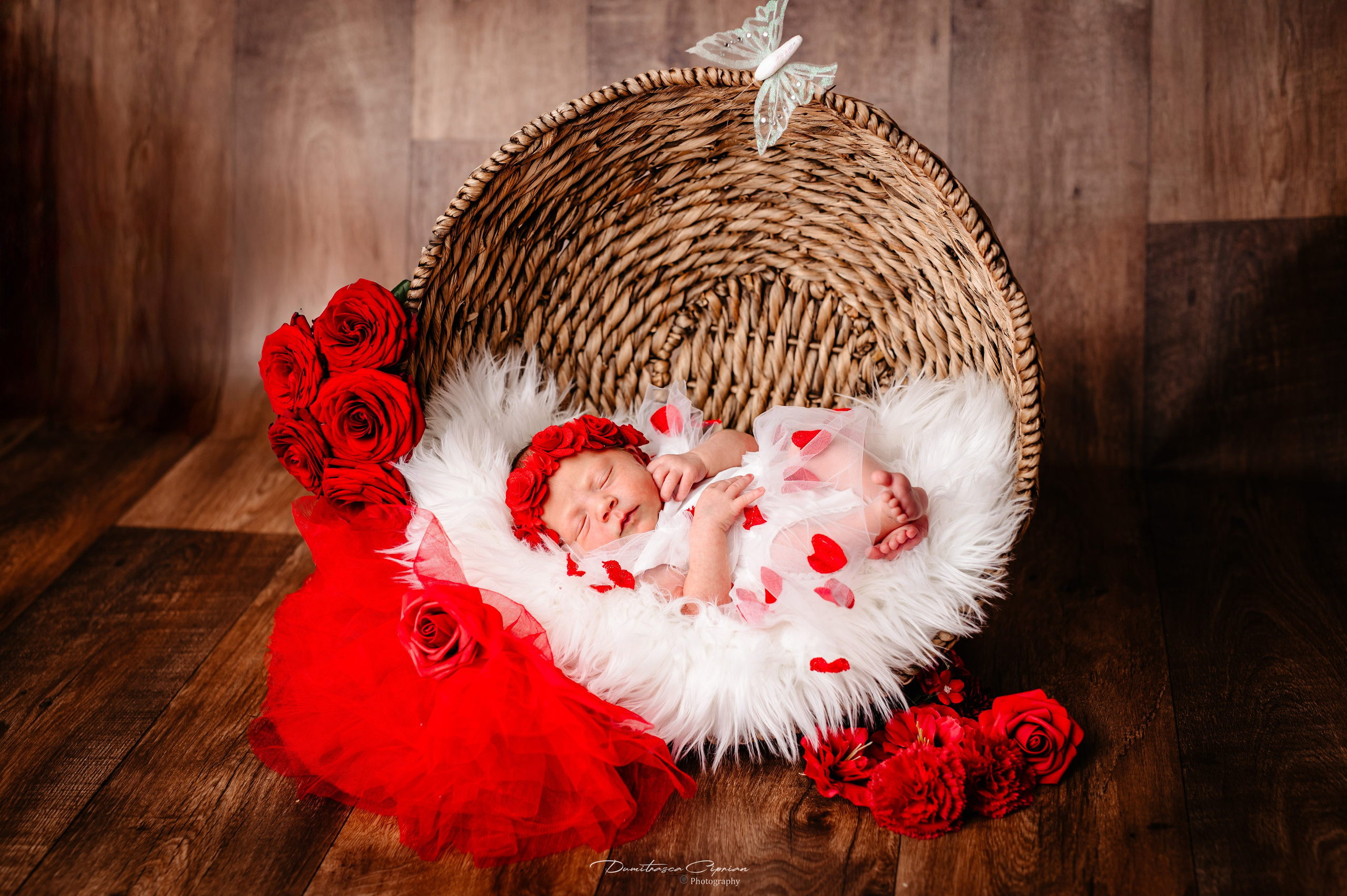 A sweet little angel. Dumitrasca Ciprian Photography