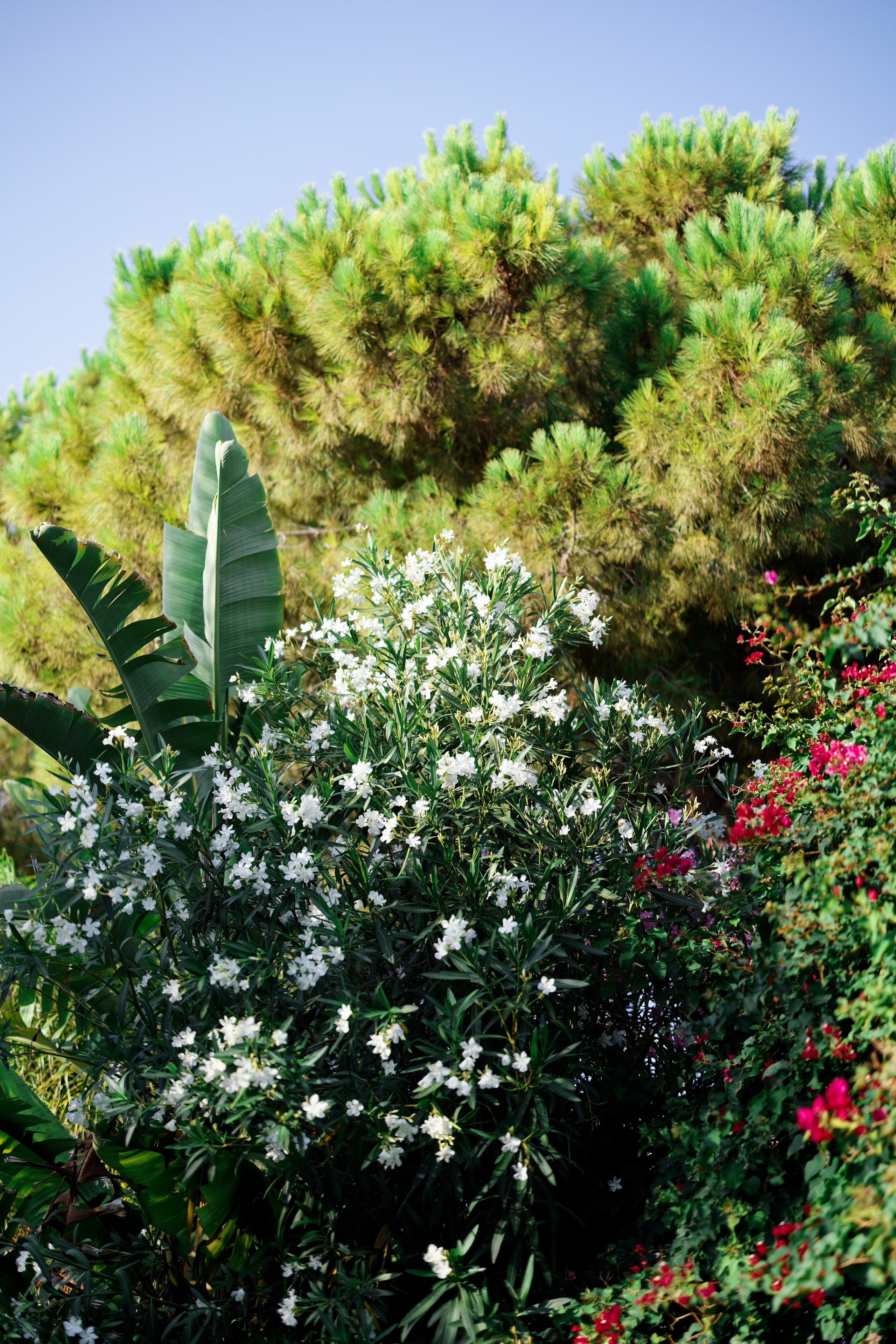 Haldi Ceremony & Mehndi Night & pre-wedding dinner, Barcelona