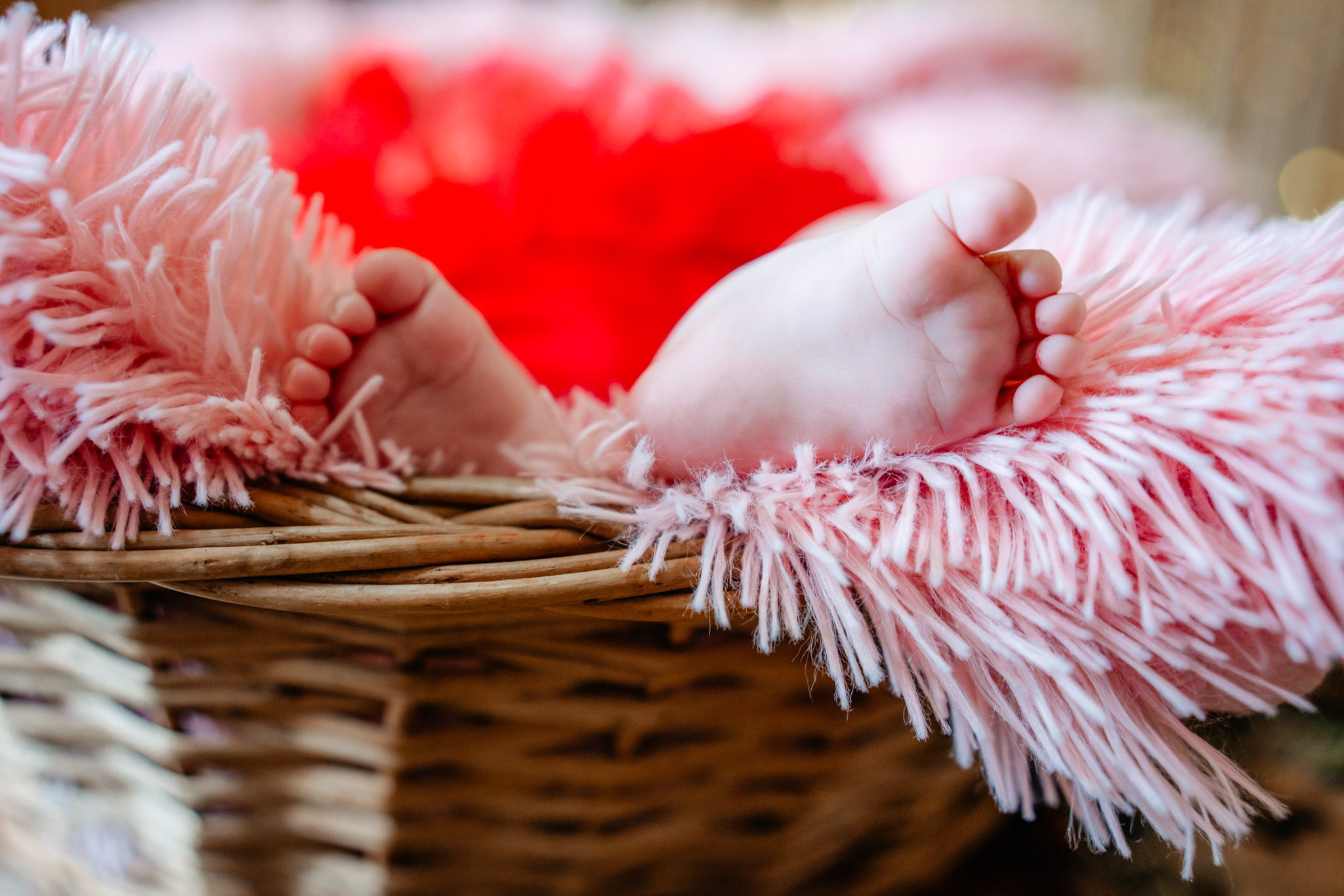 Botez Evelina — Fotografie de botez. Fotografie & Videografie Nunta