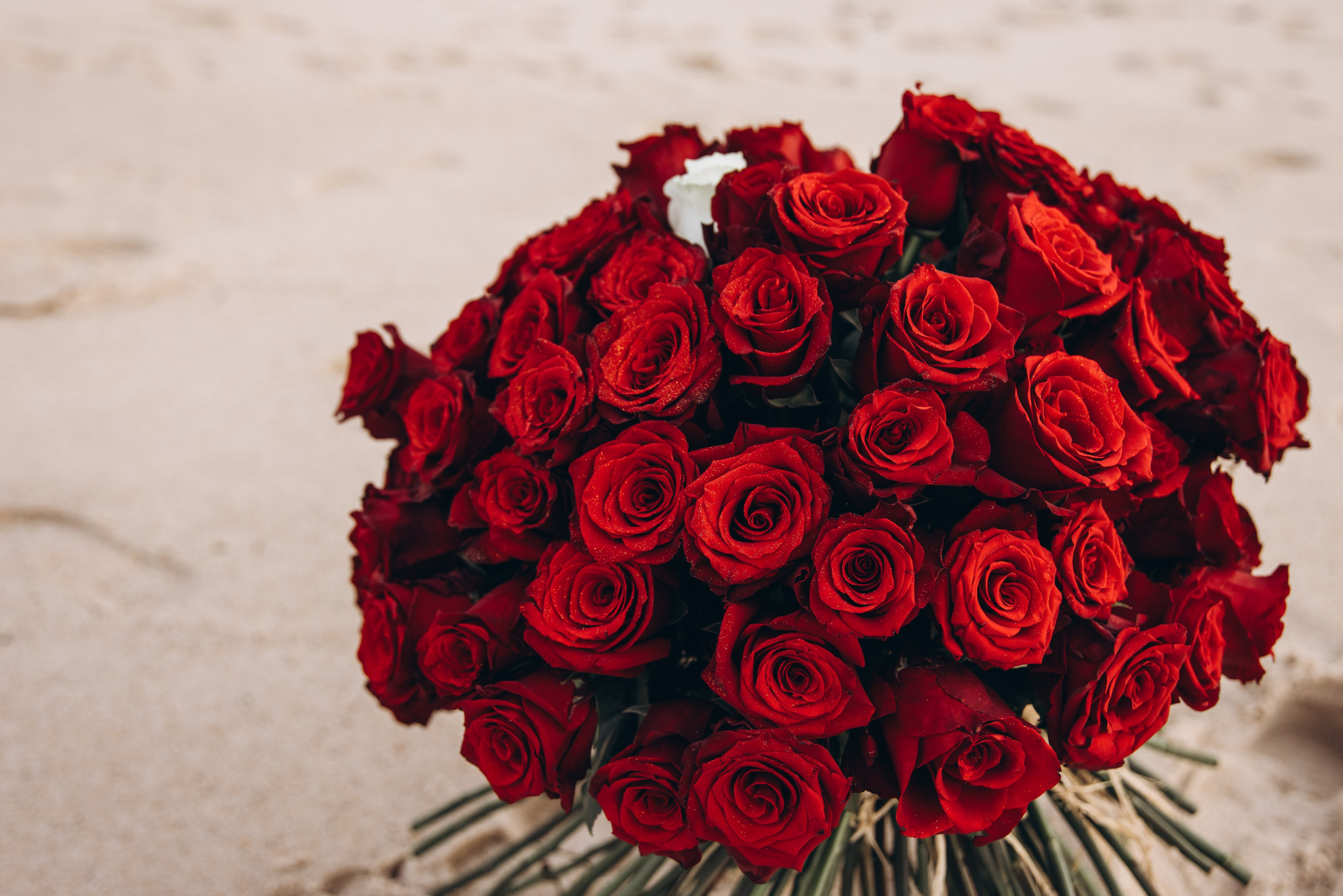 Pedido de Casamento. Luxury Wedding Photography & Cinematic Films | Portugal & Destination Weddings | Ricardo & Mary Pictures