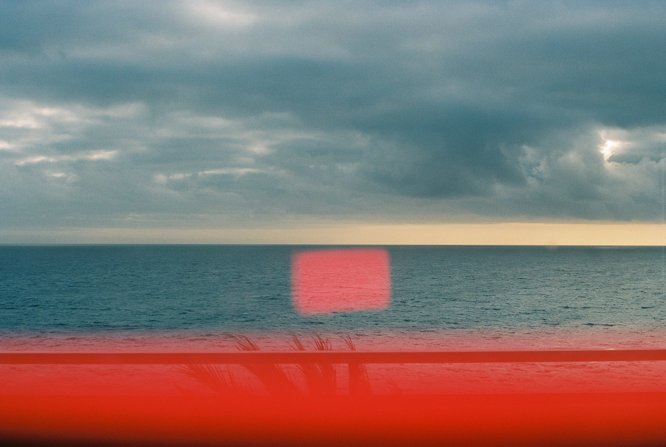 Madeira on film. Portrait photographer in Madeira — Marina Shtukina