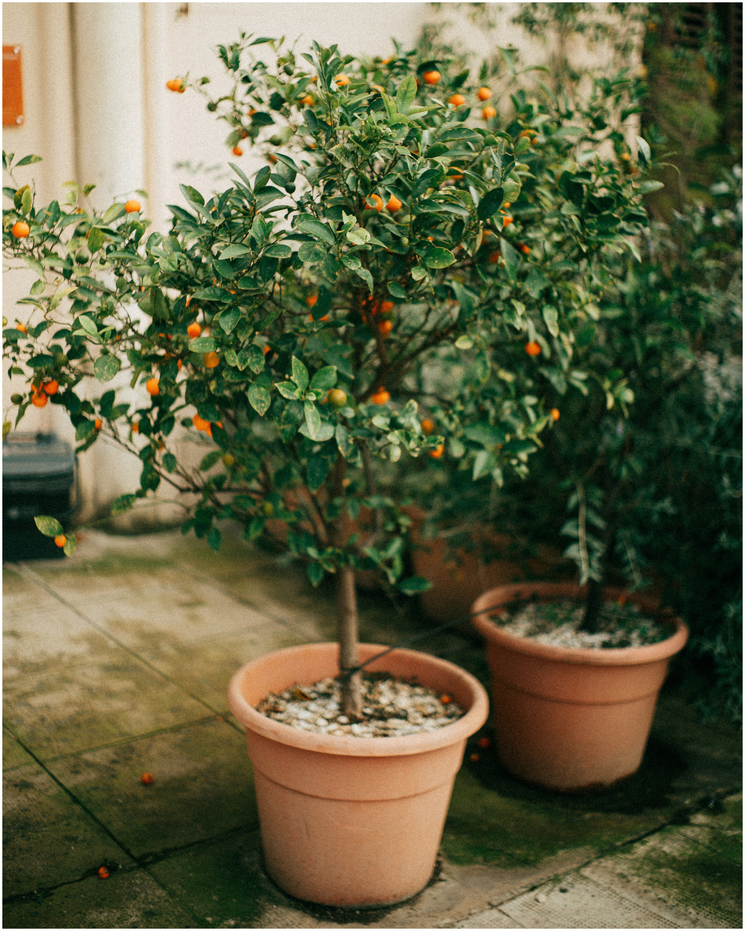 PALERMO. Photographer Inna Mendelson