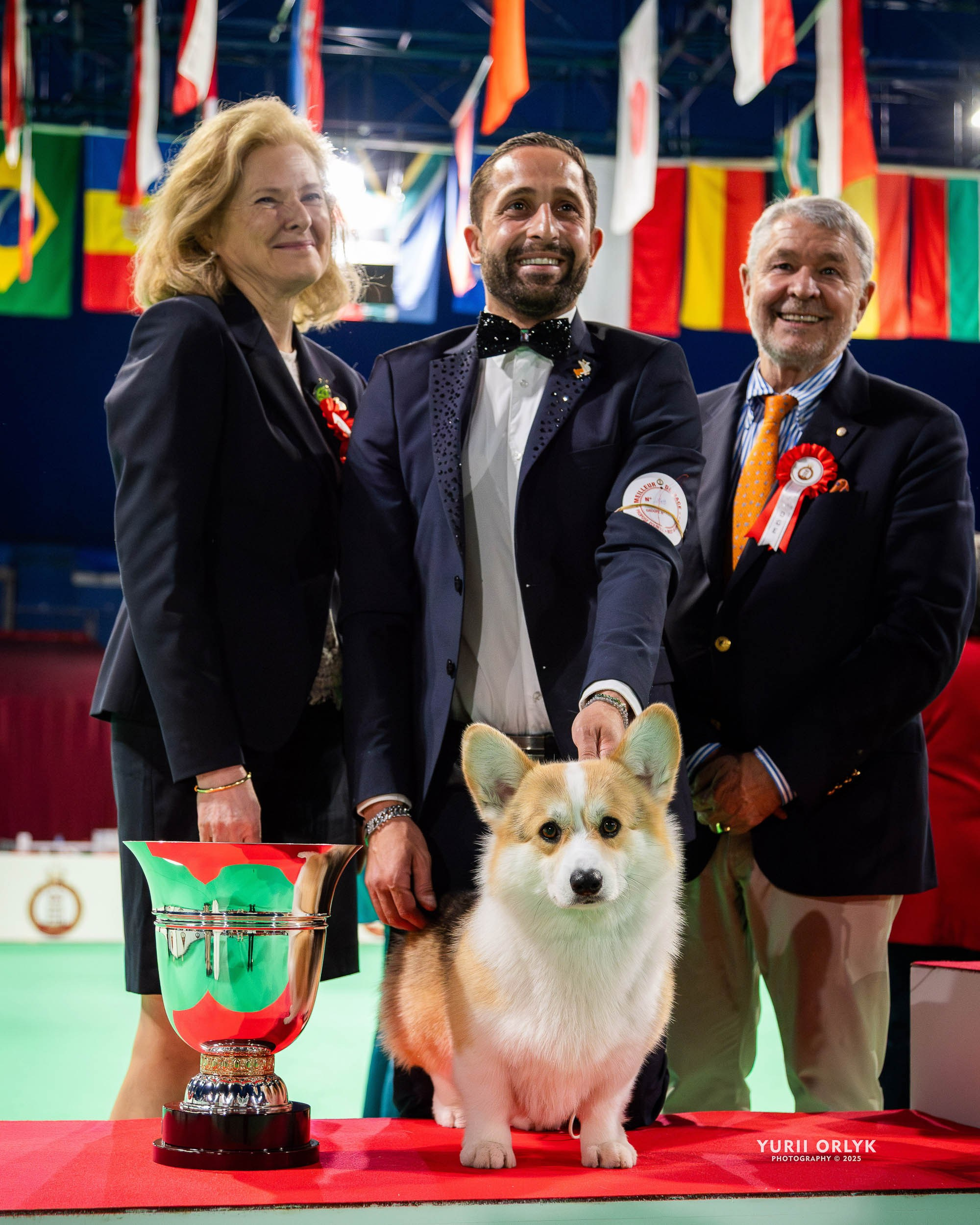 Dog Shows. Yurii Orlyk Photography