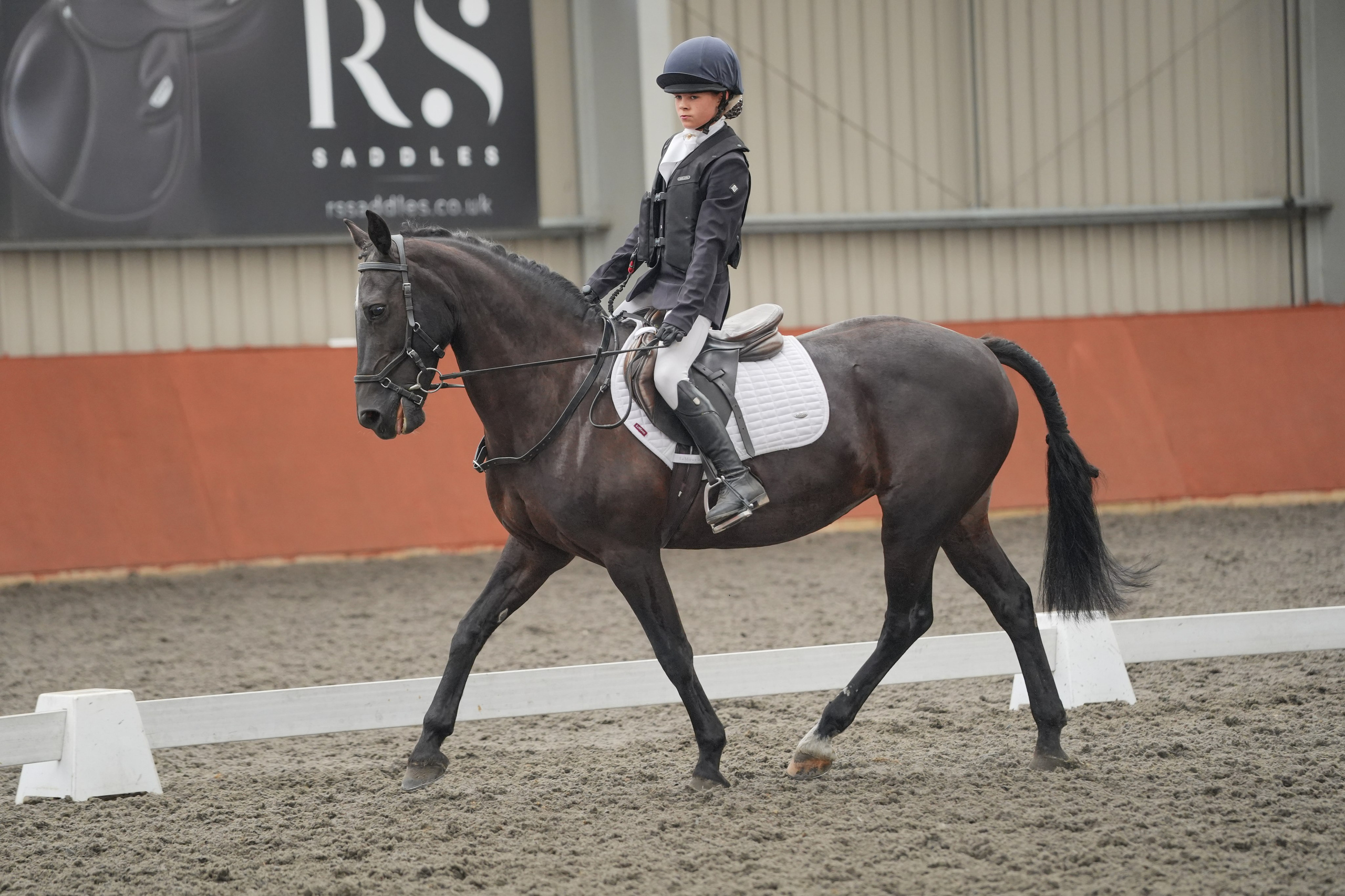 Dressage. Leicestershire Equine Photography by El | Authentic Equine Portraits & Events