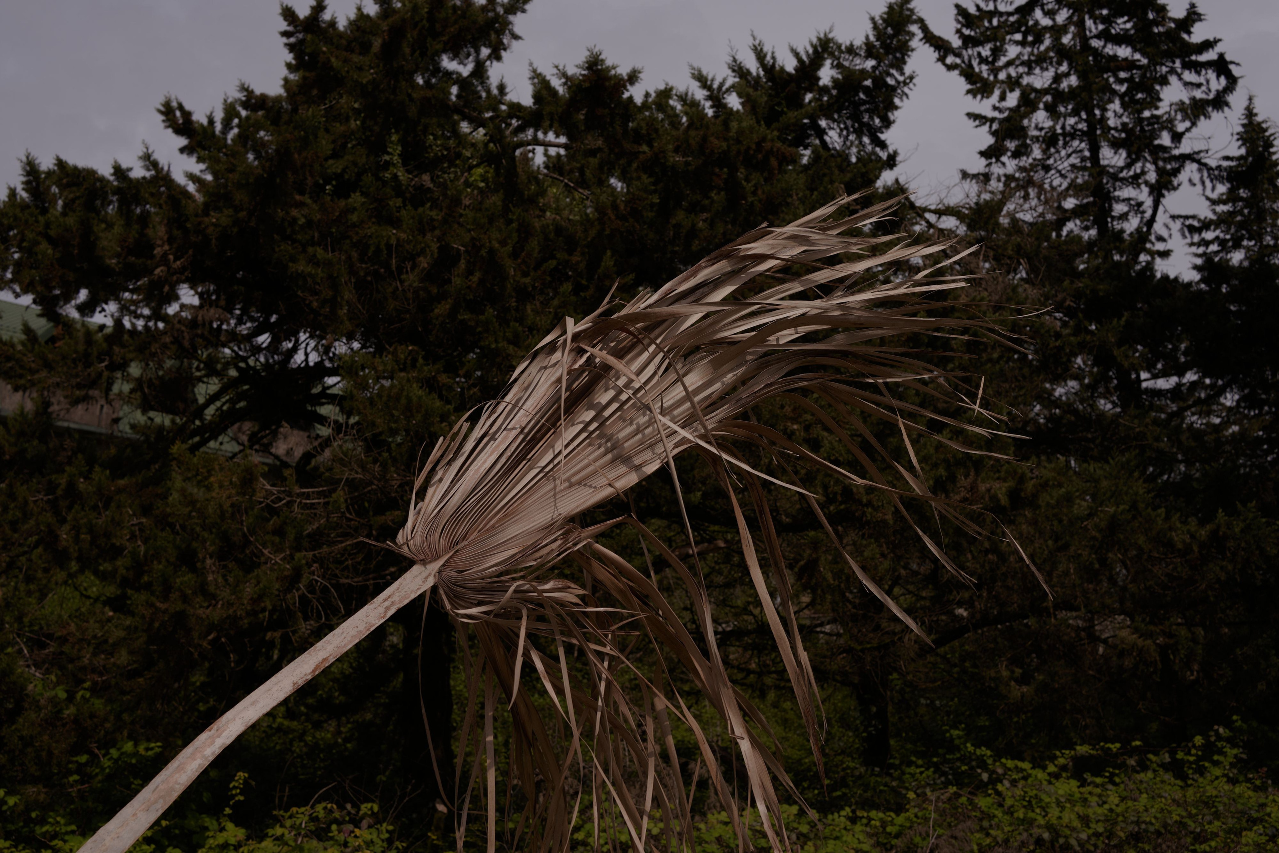 As Long as the Sea Lasts