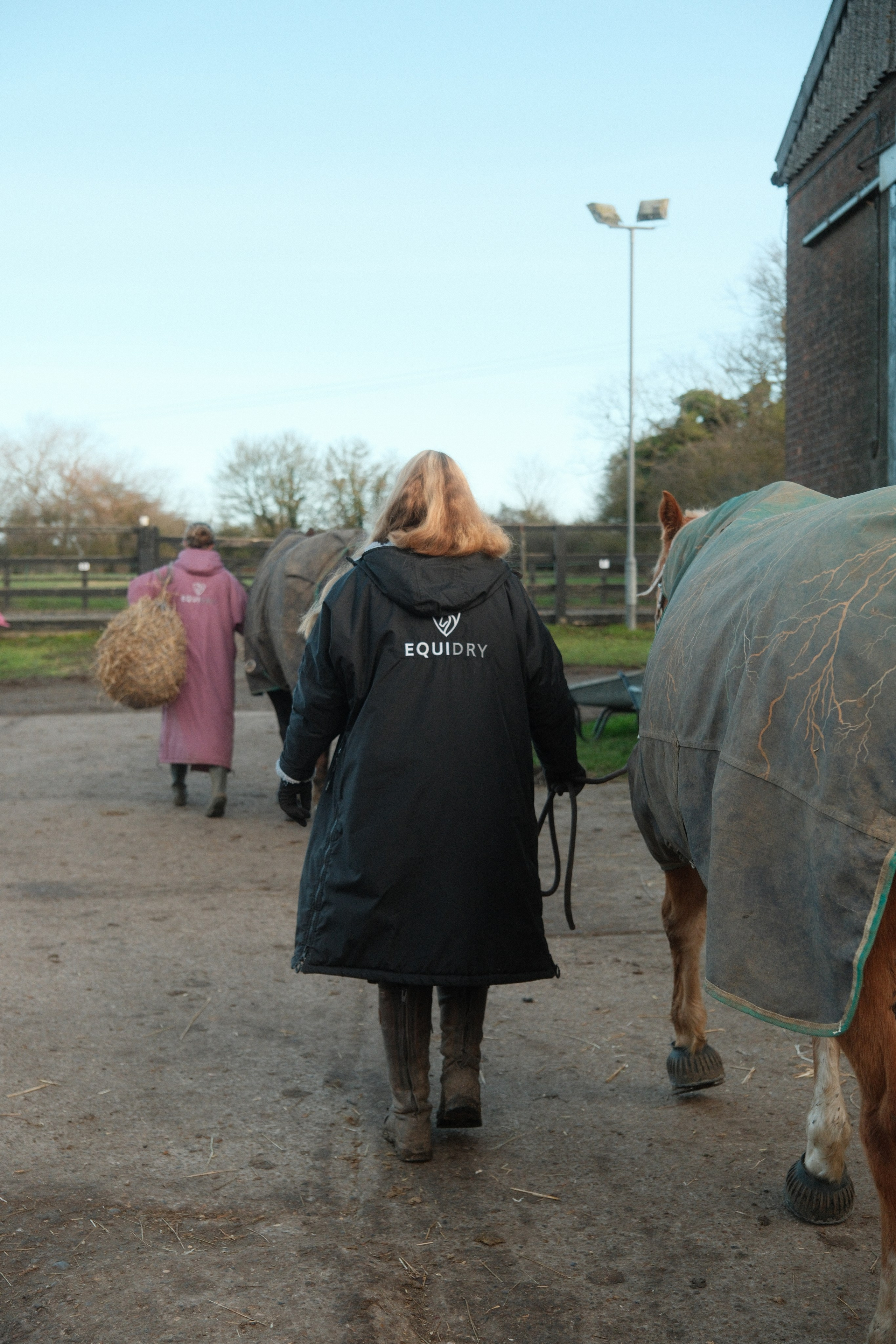 Portrait photography with Fudge the horse. Cal Takes Photos