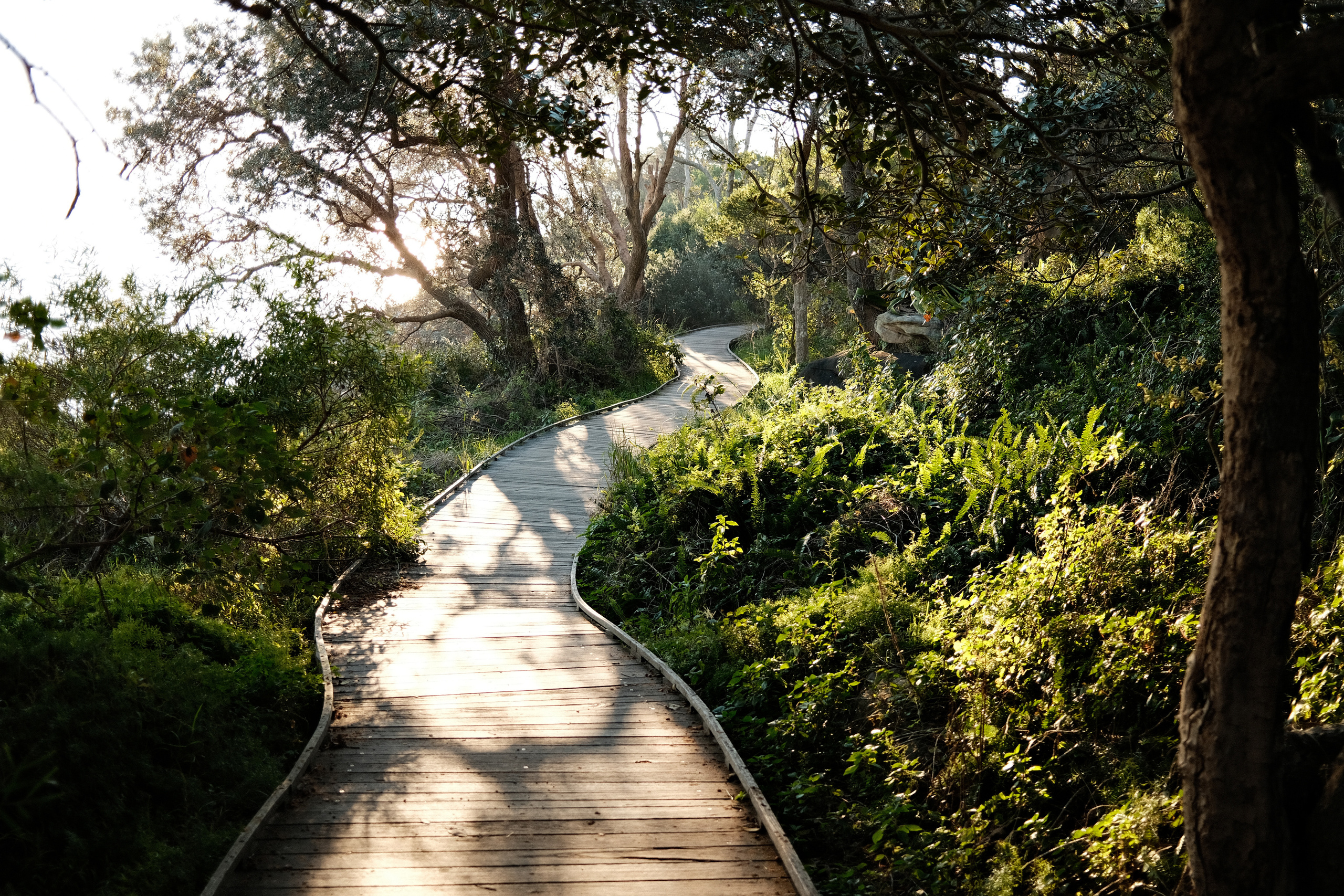 Shark bay. Faya Photo: Boudoir Photography by Australia’s Top Female Photographer
