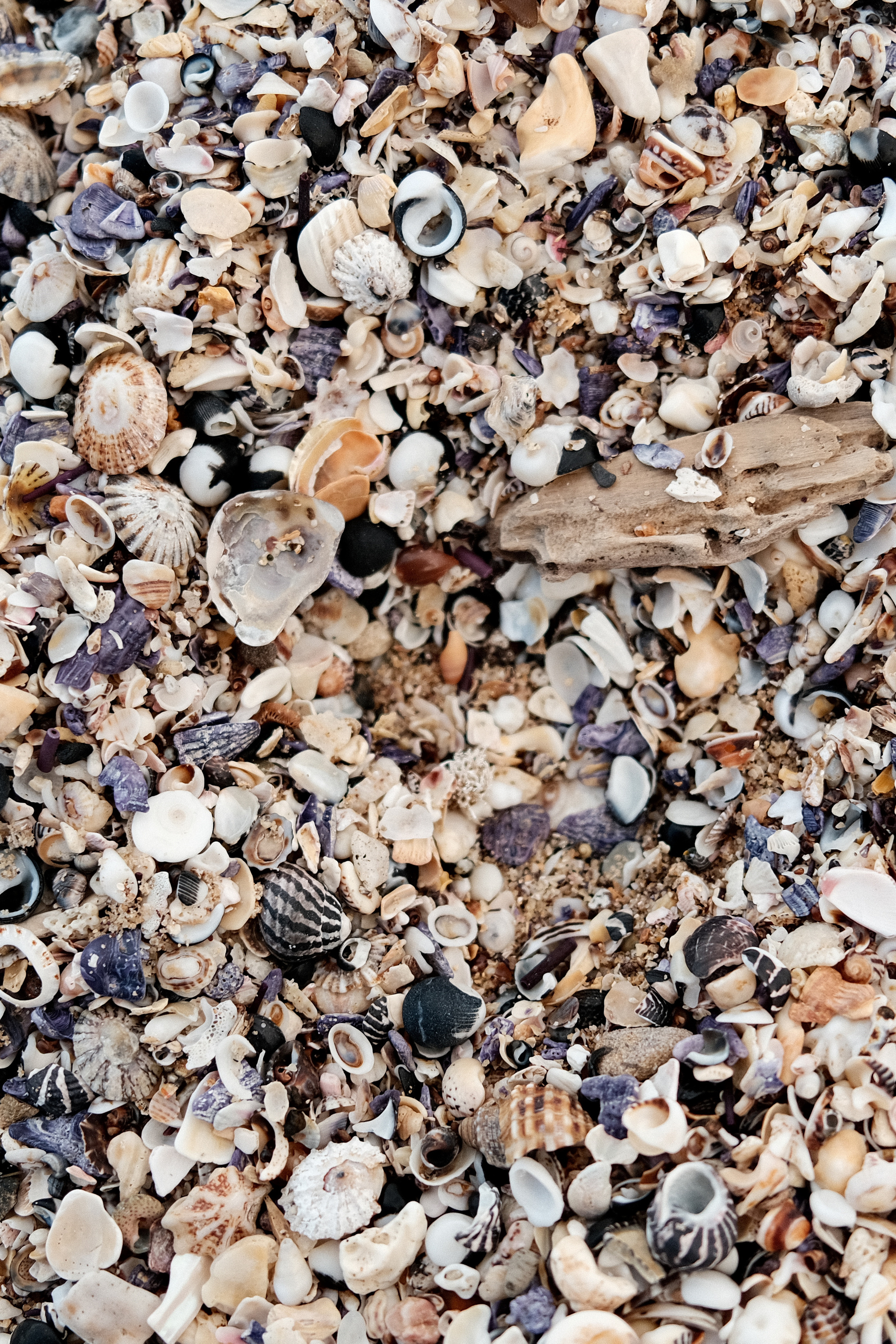 La Perouse. Faya Photo: Boudoir Photography by Australia’s Top Female Photographer