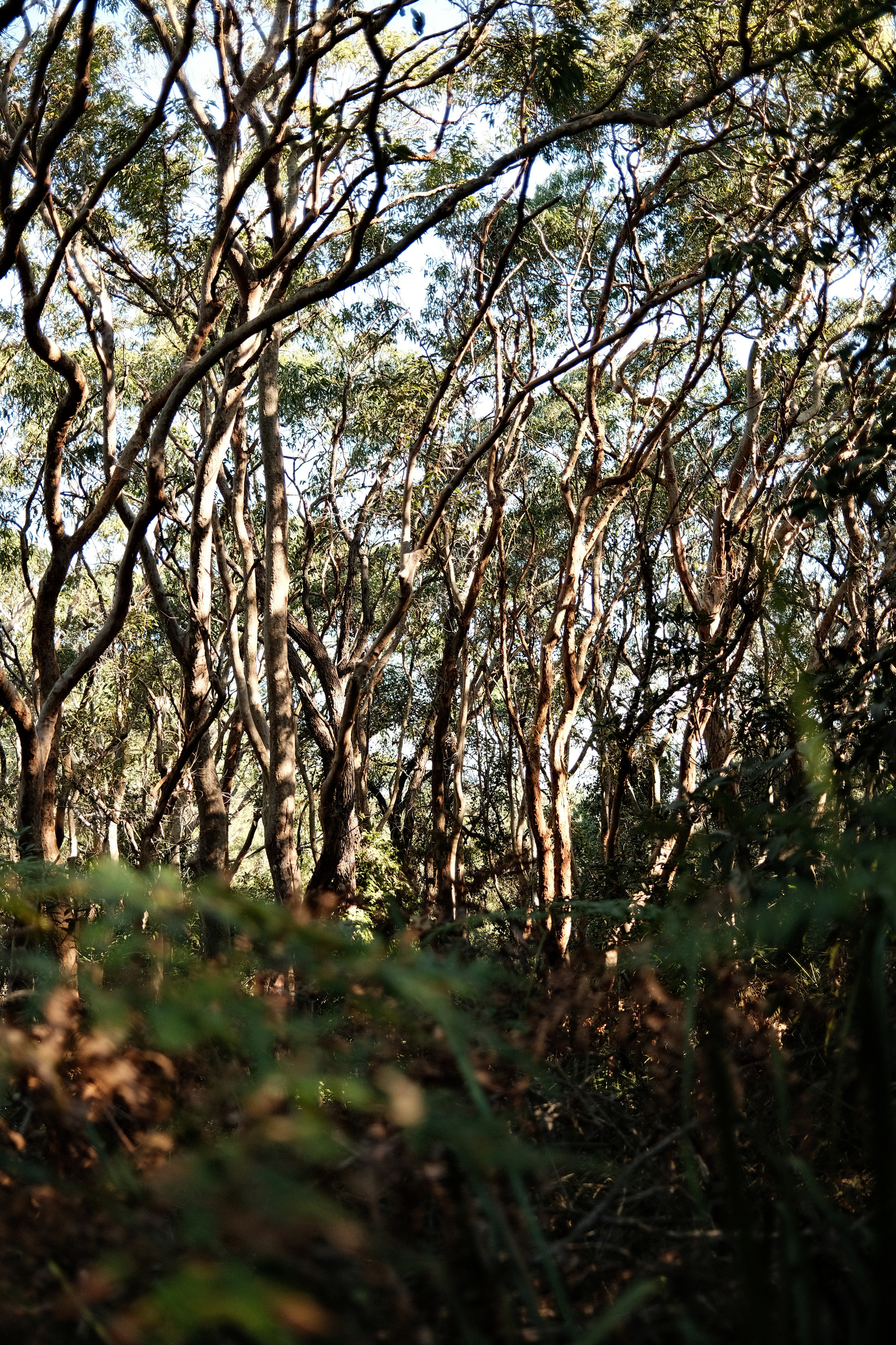 La Perouse. Faya Photo: Boudoir Photography by Australia’s Top Female Photographer