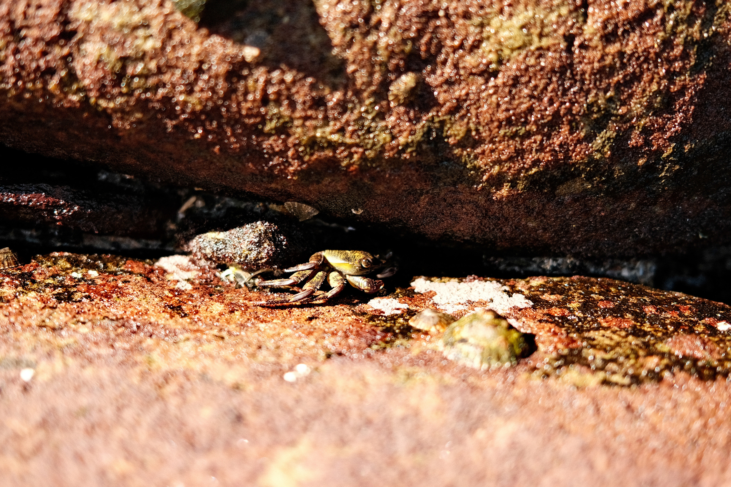 Gordon’s Bay. Faya Photo: Boudoir Photography by Australia’s Top Female Photographer