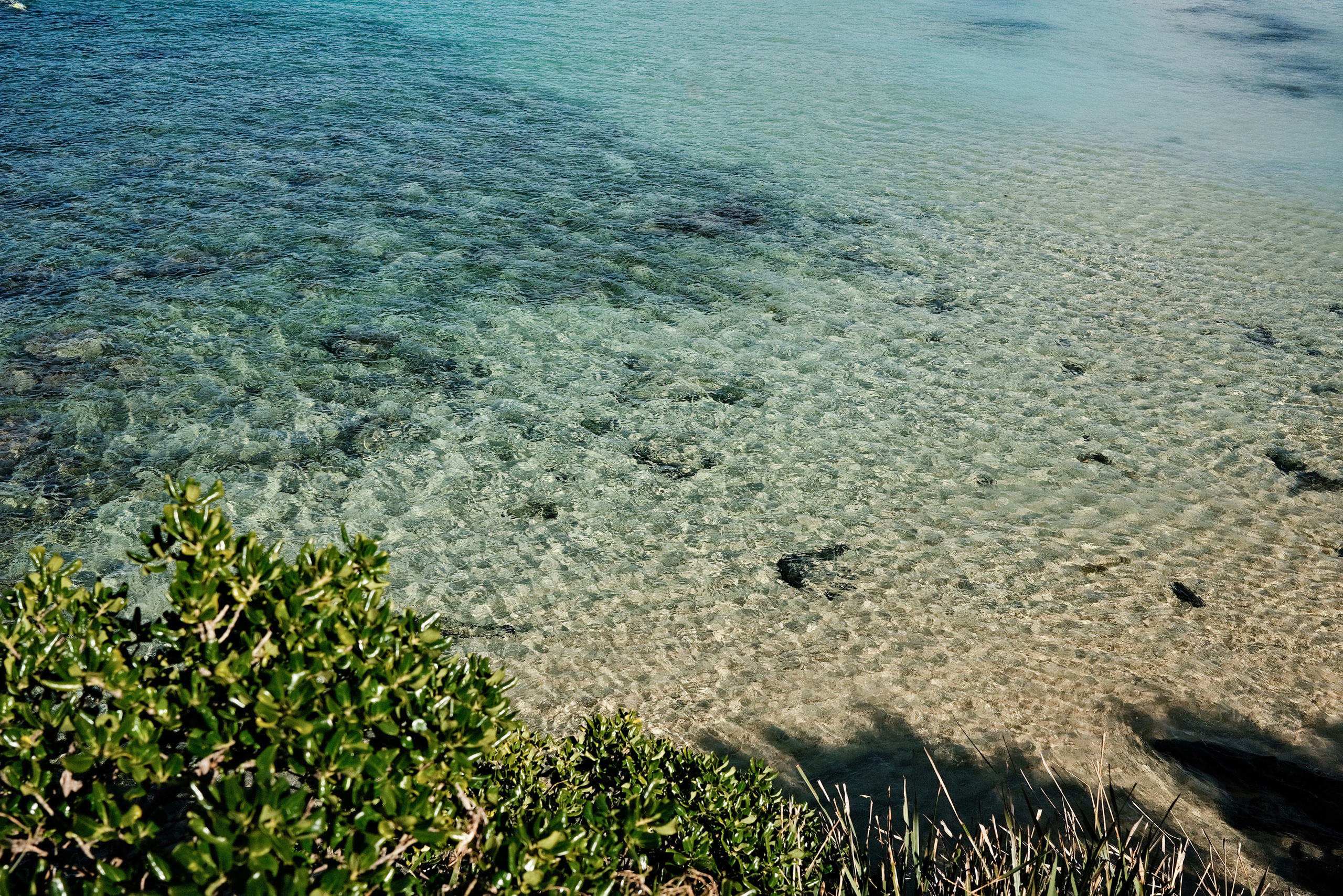 Gordon’s Bay. Faya Photo: Boudoir Photography by Australia’s Top Female Photographer
