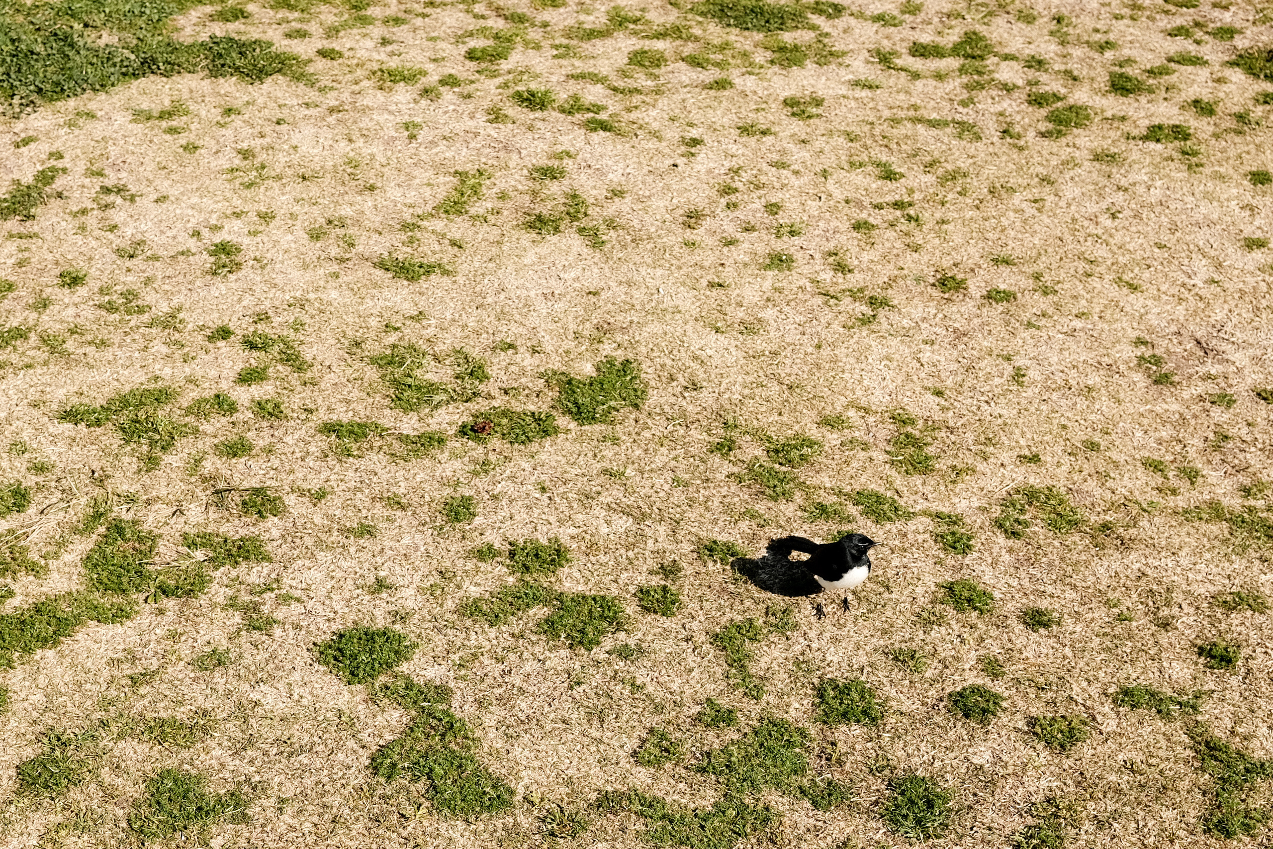 Gordon’s Bay. Faya Photo: Boudoir Photography by Australia’s Top Female Photographer