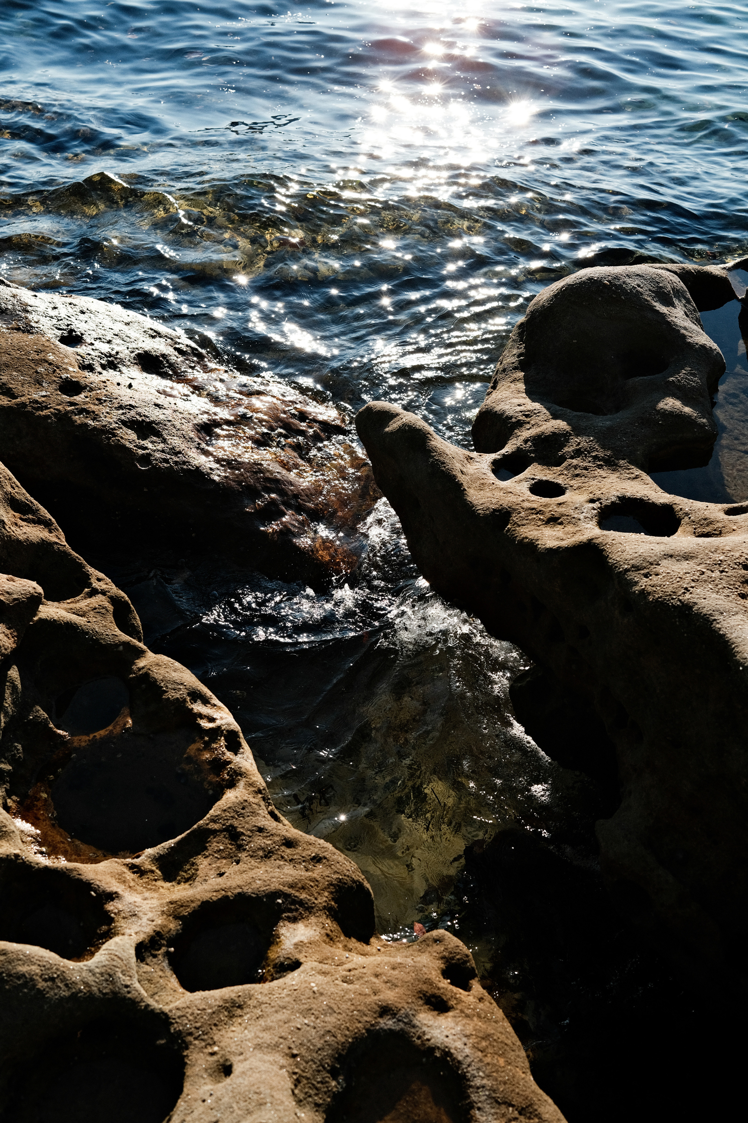 Shark bay. Faya Photo: Boudoir Photography by Australia’s Top Female Photographer