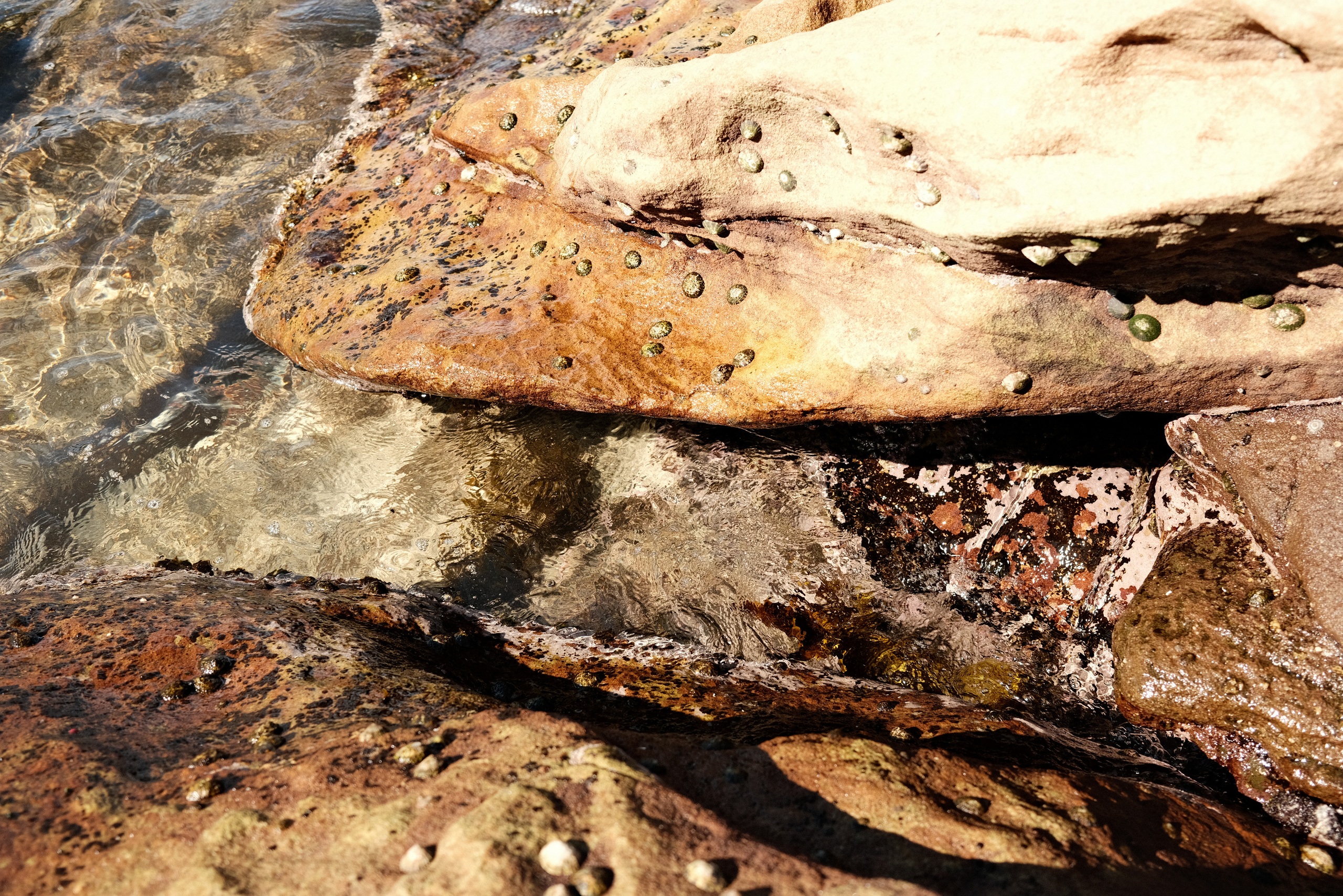 Gordon’s Bay. Faya Photo: Boudoir Photography by Australia’s Top Female Photographer