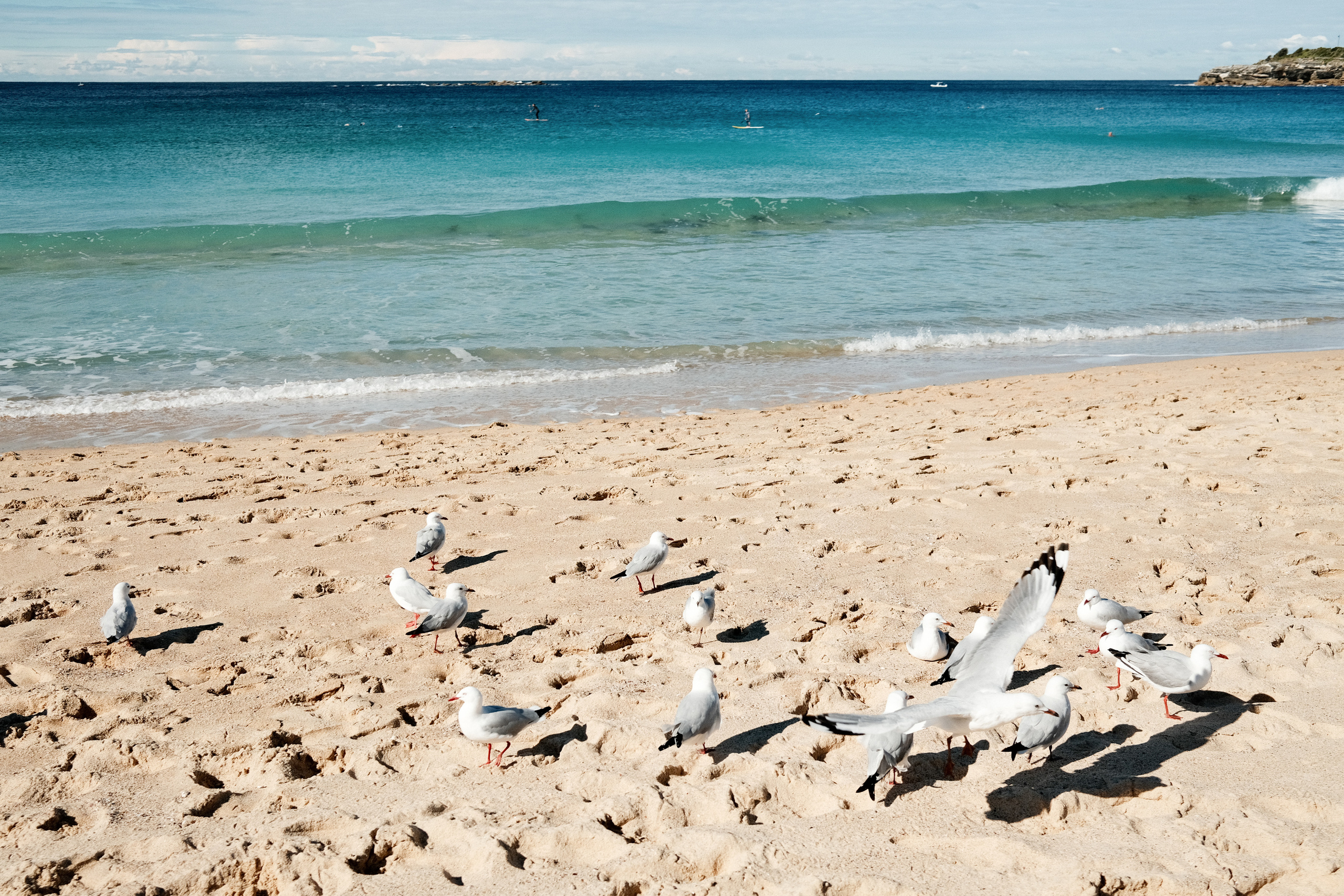 Gordon’s Bay. Faya Photo: Boudoir Photography by Australia’s Top Female Photographer