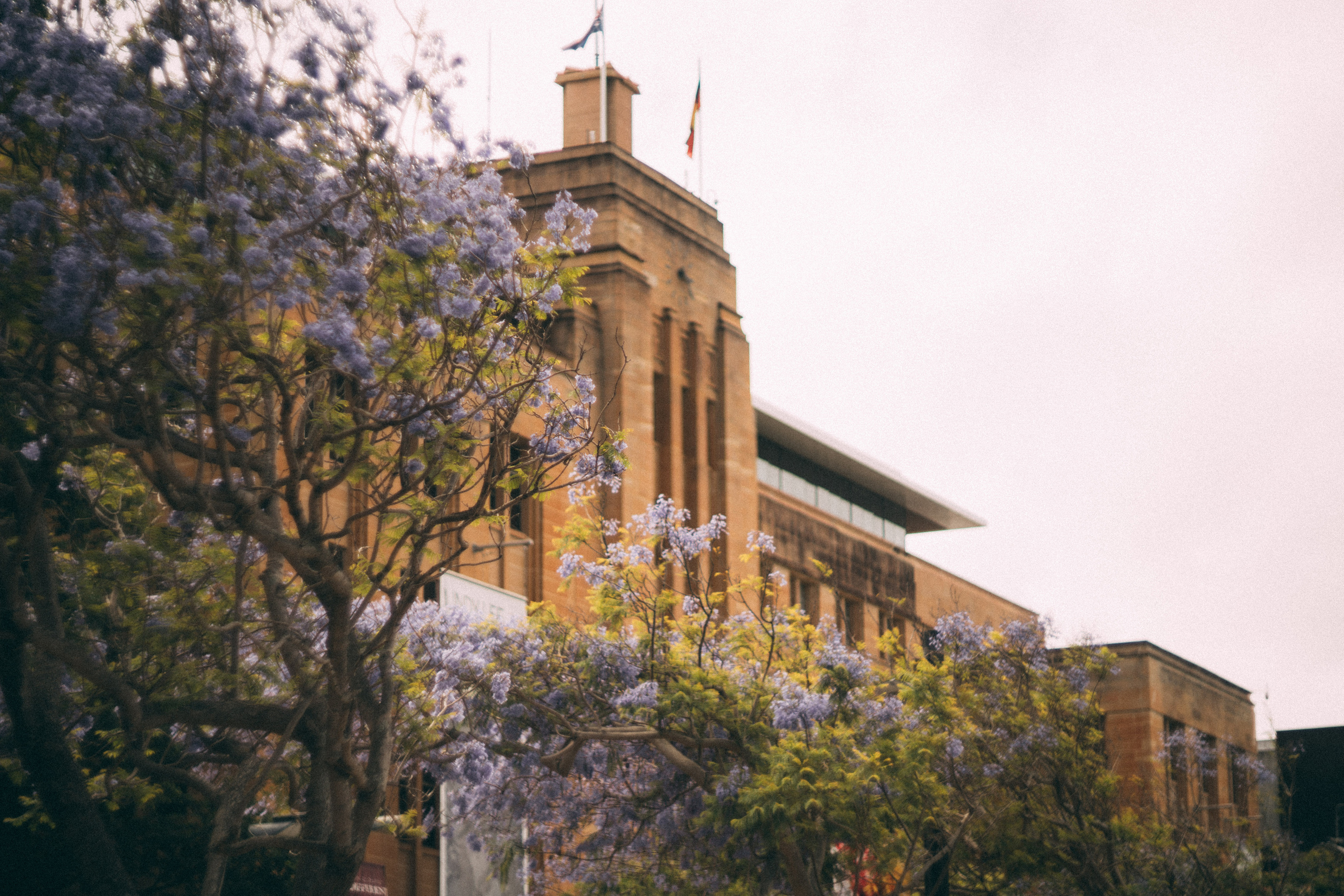 CBD Helios. Faya Photo: Boudoir Photography by Australia’s Top Female Photographer