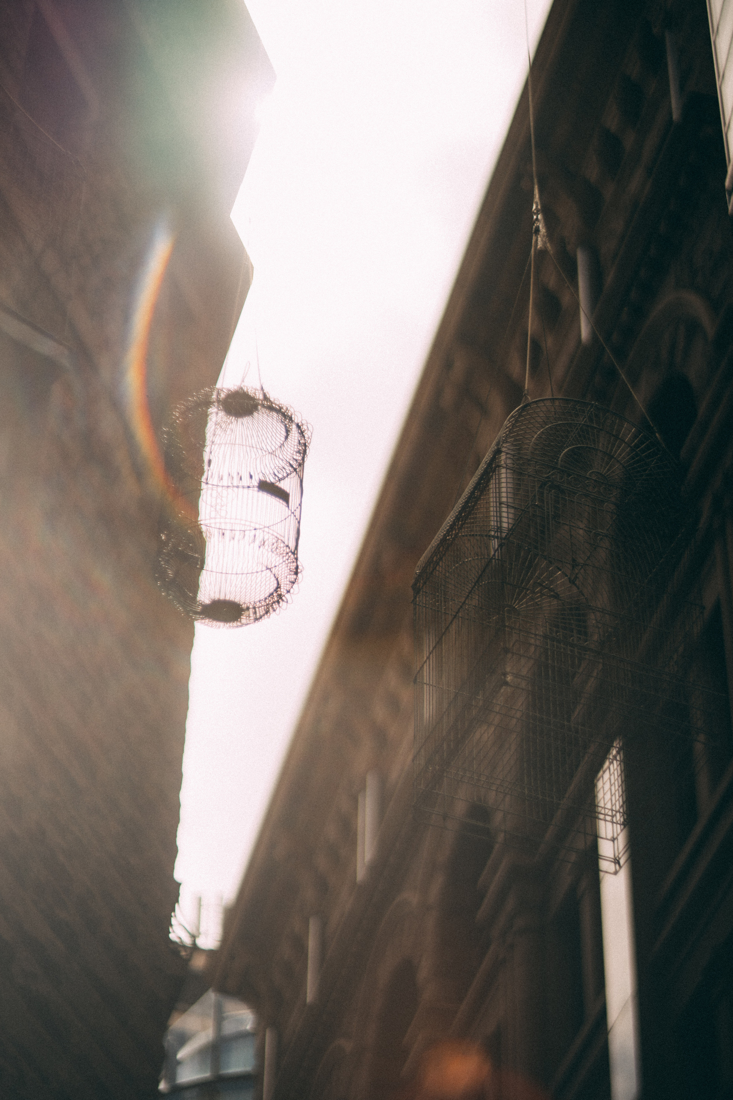 CBD Helios. Faya Photo: Boudoir Photography by Australia’s Top Female Photographer