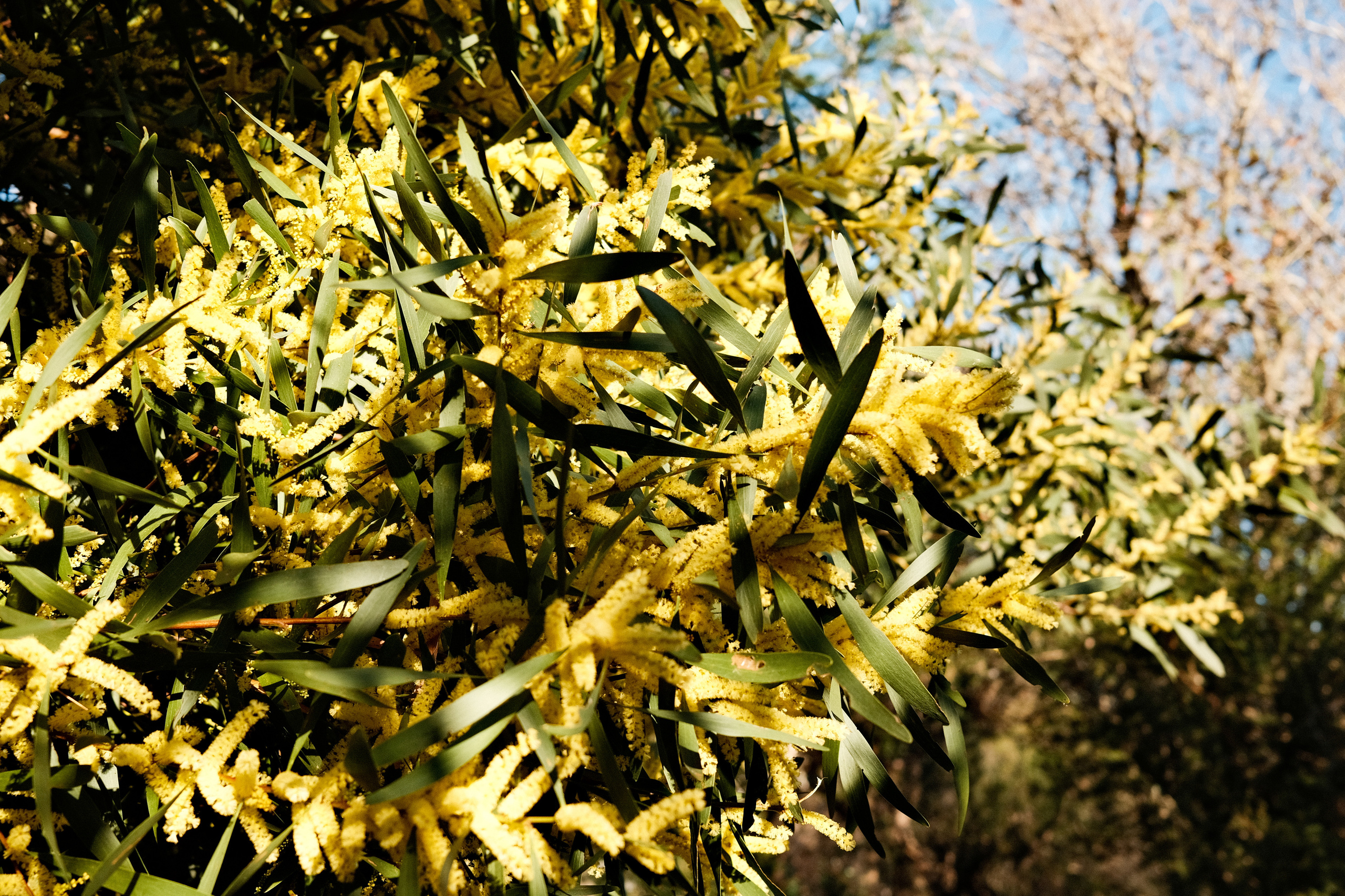 Shark bay. Faya Photo: Boudoir Photography by Australia’s Top Female Photographer