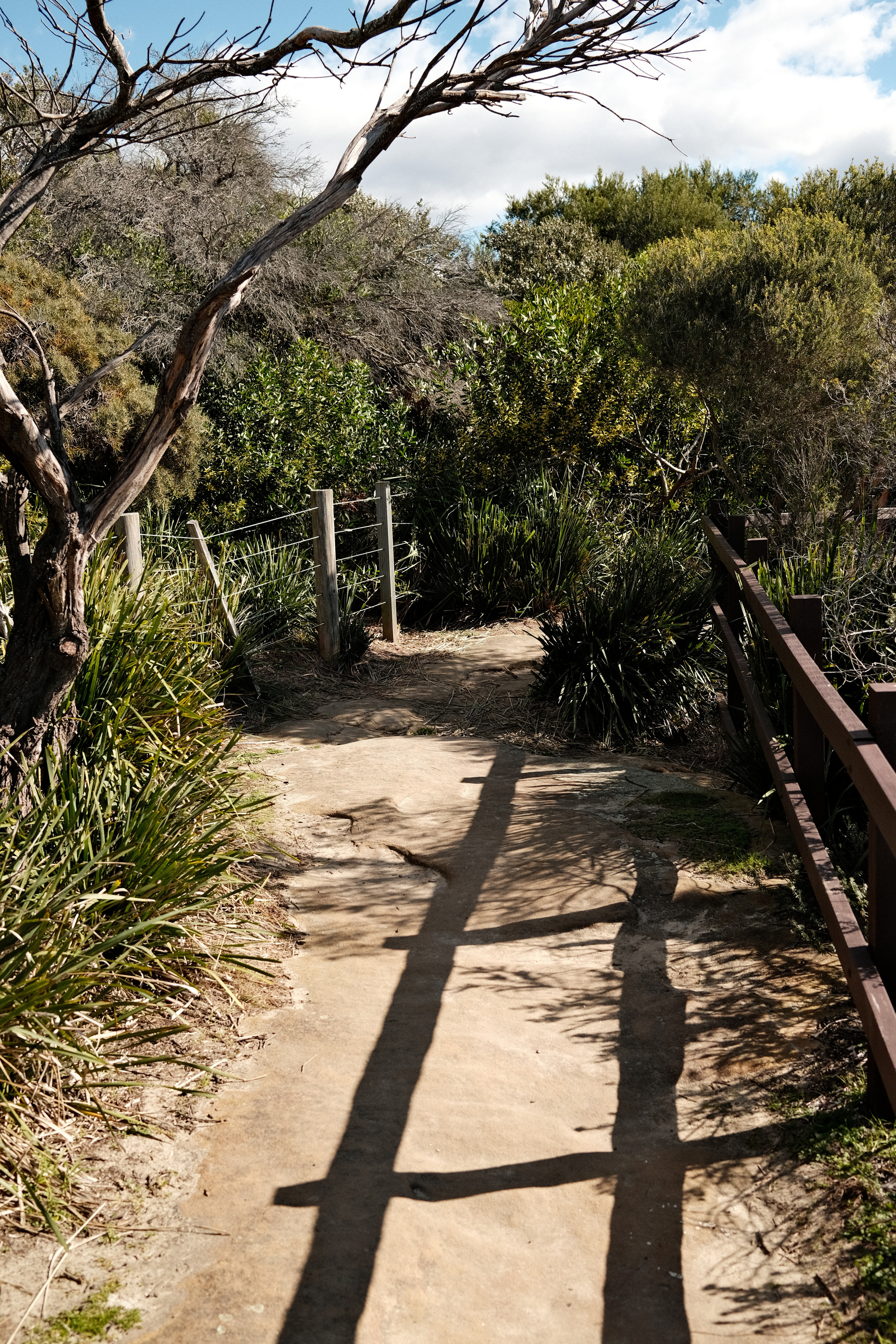 Gordon’s Bay. Faya Photo: Boudoir Photography by Australia’s Top Female Photographer