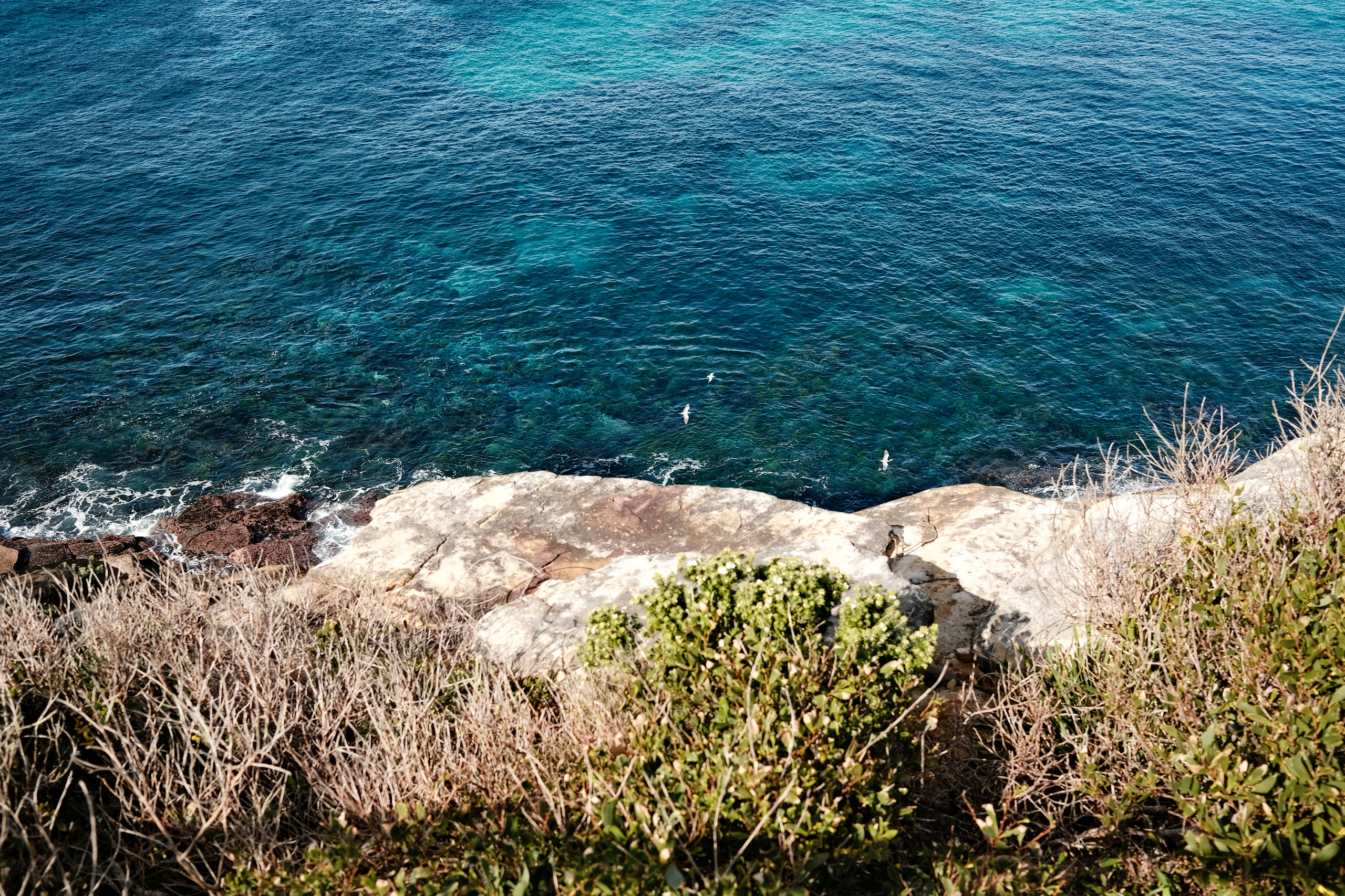 Gordon’s Bay. Faya Photo: Boudoir Photography by Australia’s Top Female Photographer