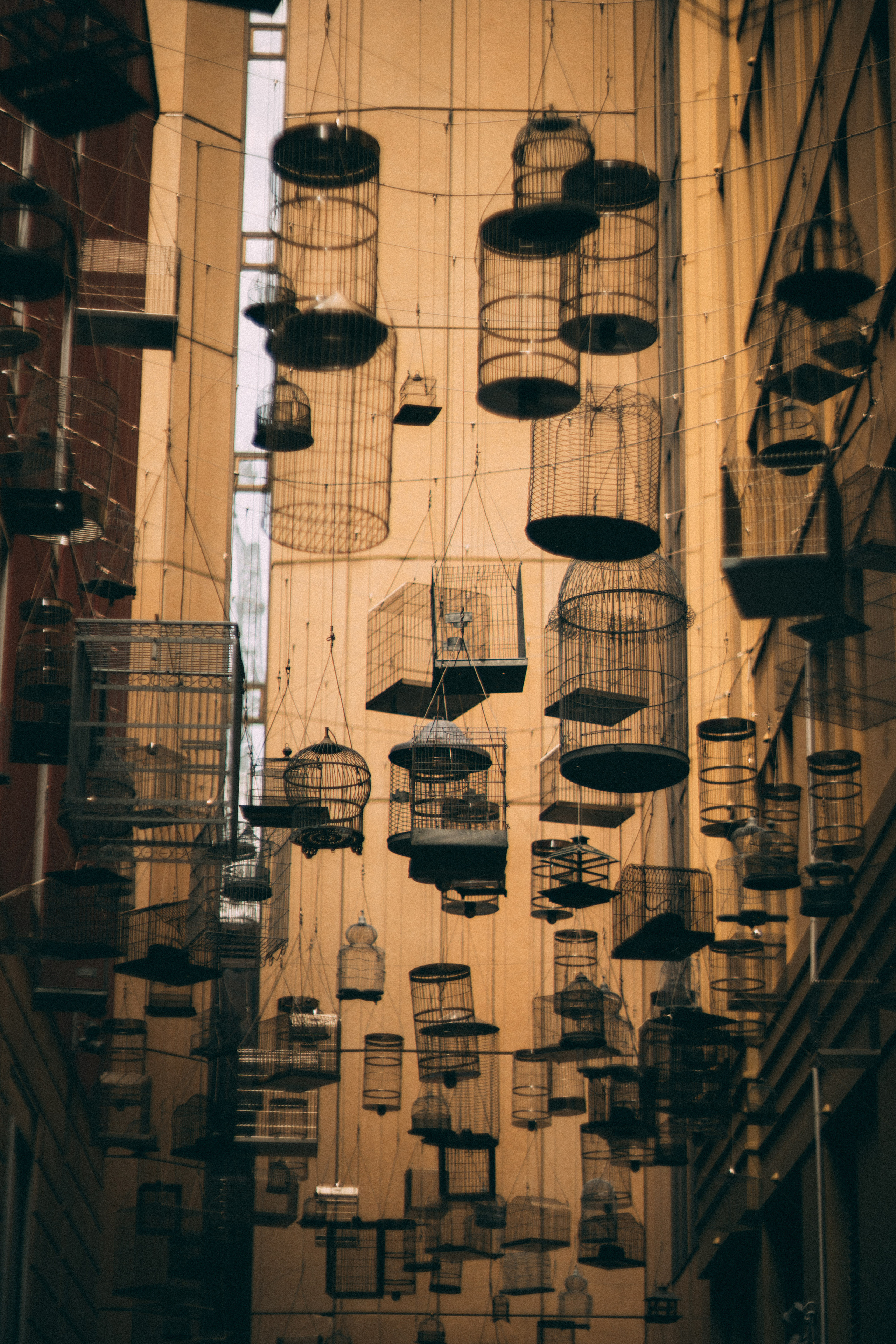 CBD Helios. Faya Photo: Boudoir Photography by Australia’s Top Female Photographer