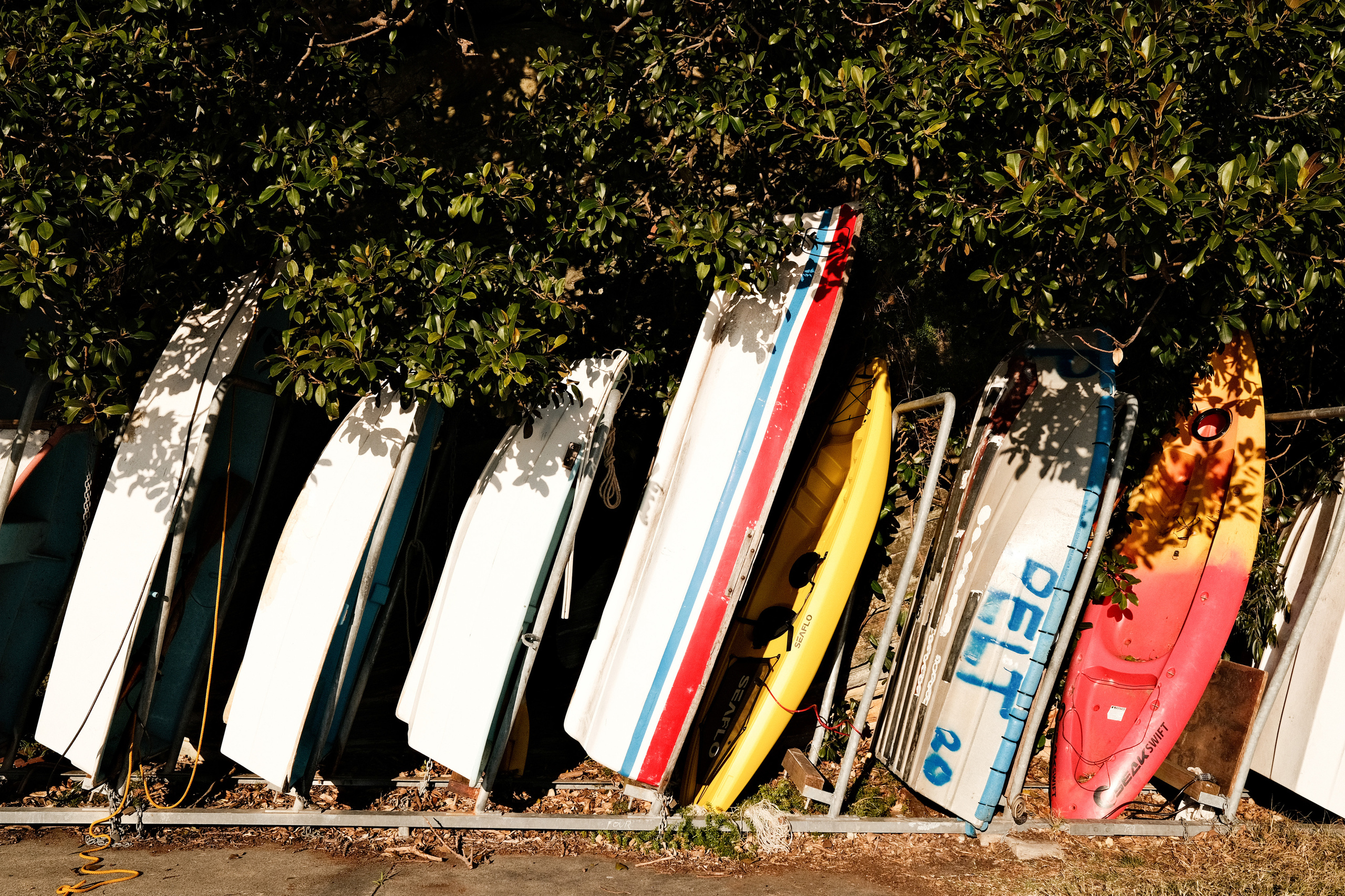 Shark bay. Faya Photo: Boudoir Photography by Australia’s Top Female Photographer