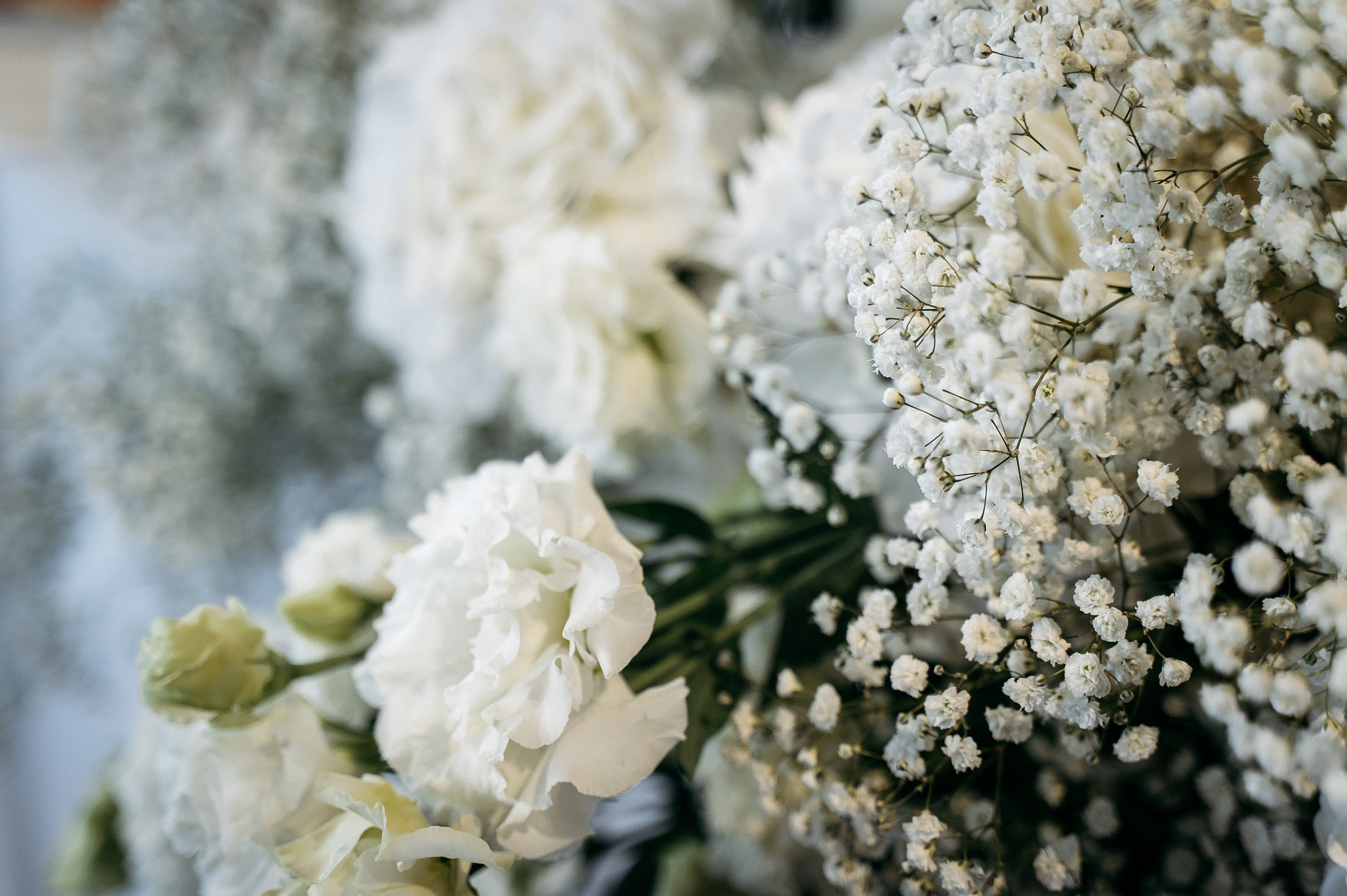 Анонс. Назар & Діана. Весільний та портретний фотограф Кизим Арсен