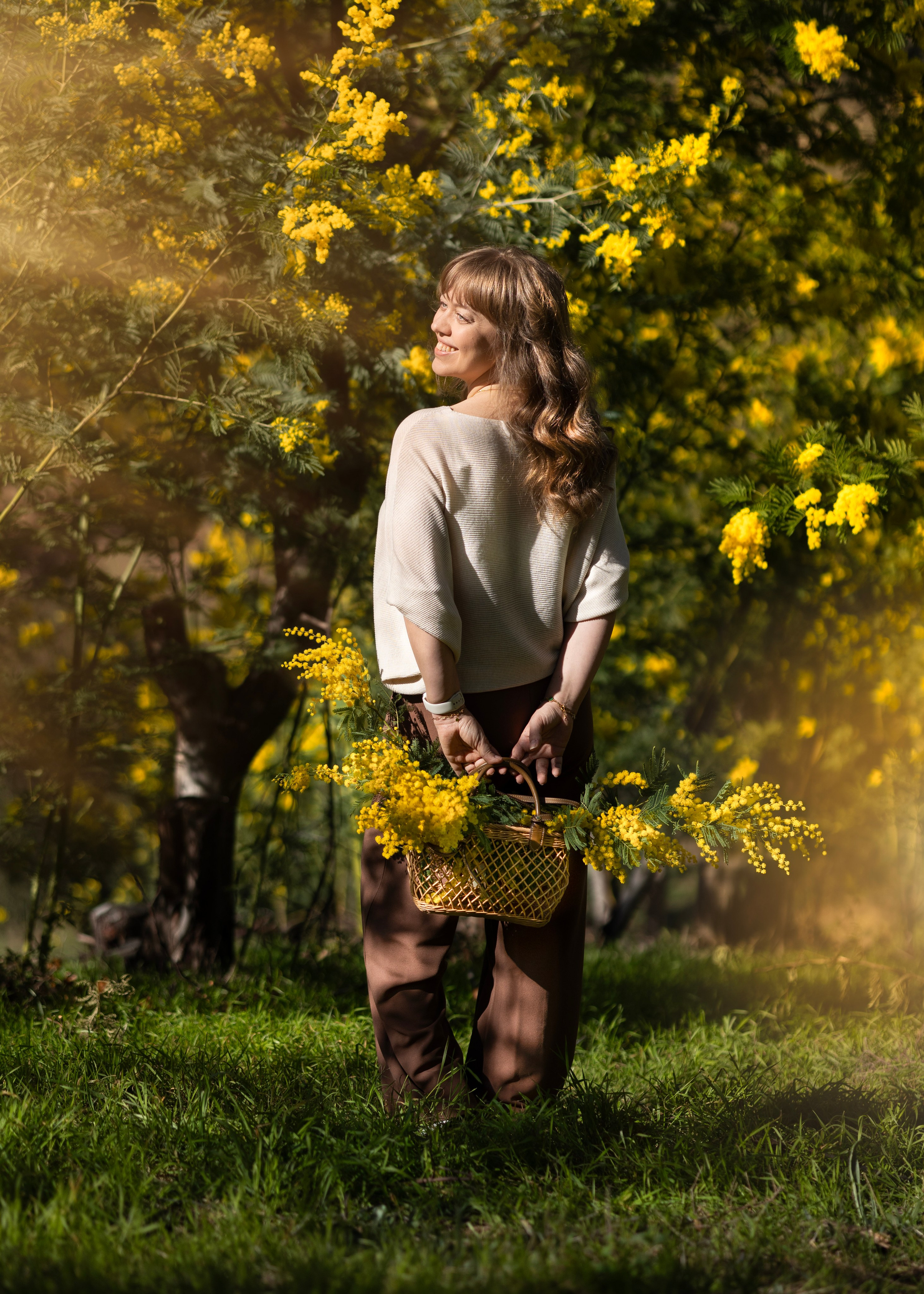 Mimosa. Photographer in Munich