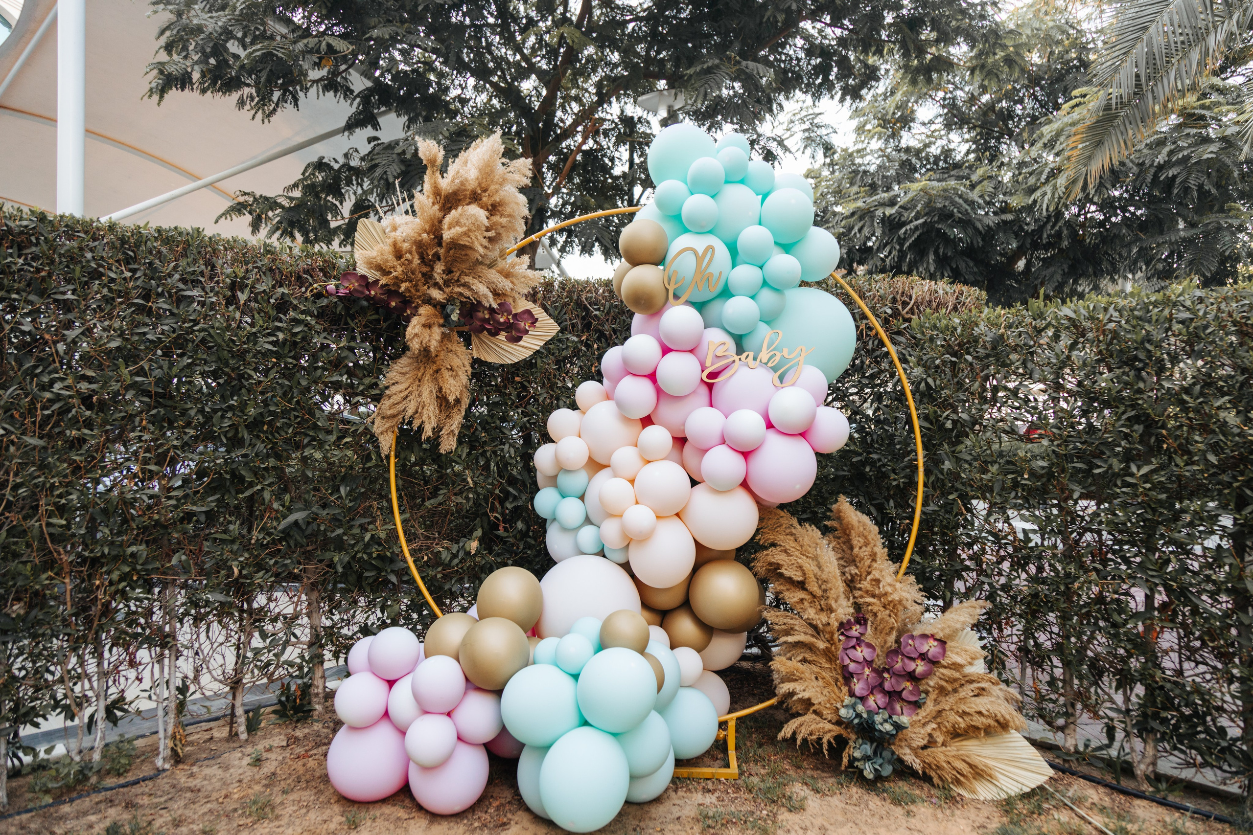 Amrita Gender Reveal