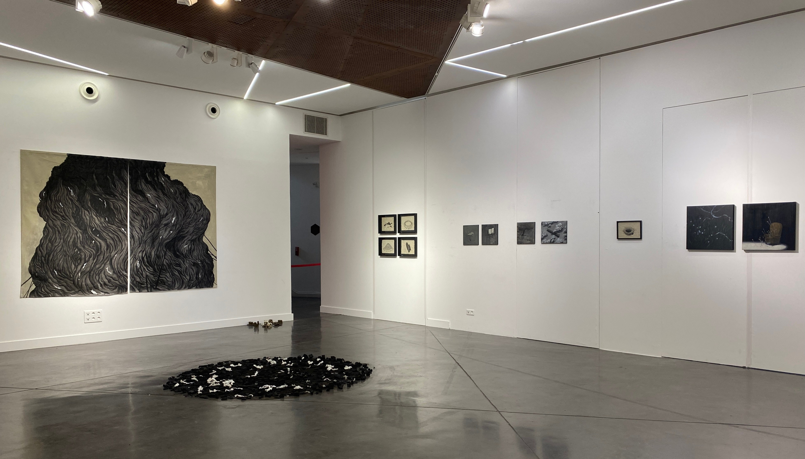 DNSEP.2024. Yujoo HONG